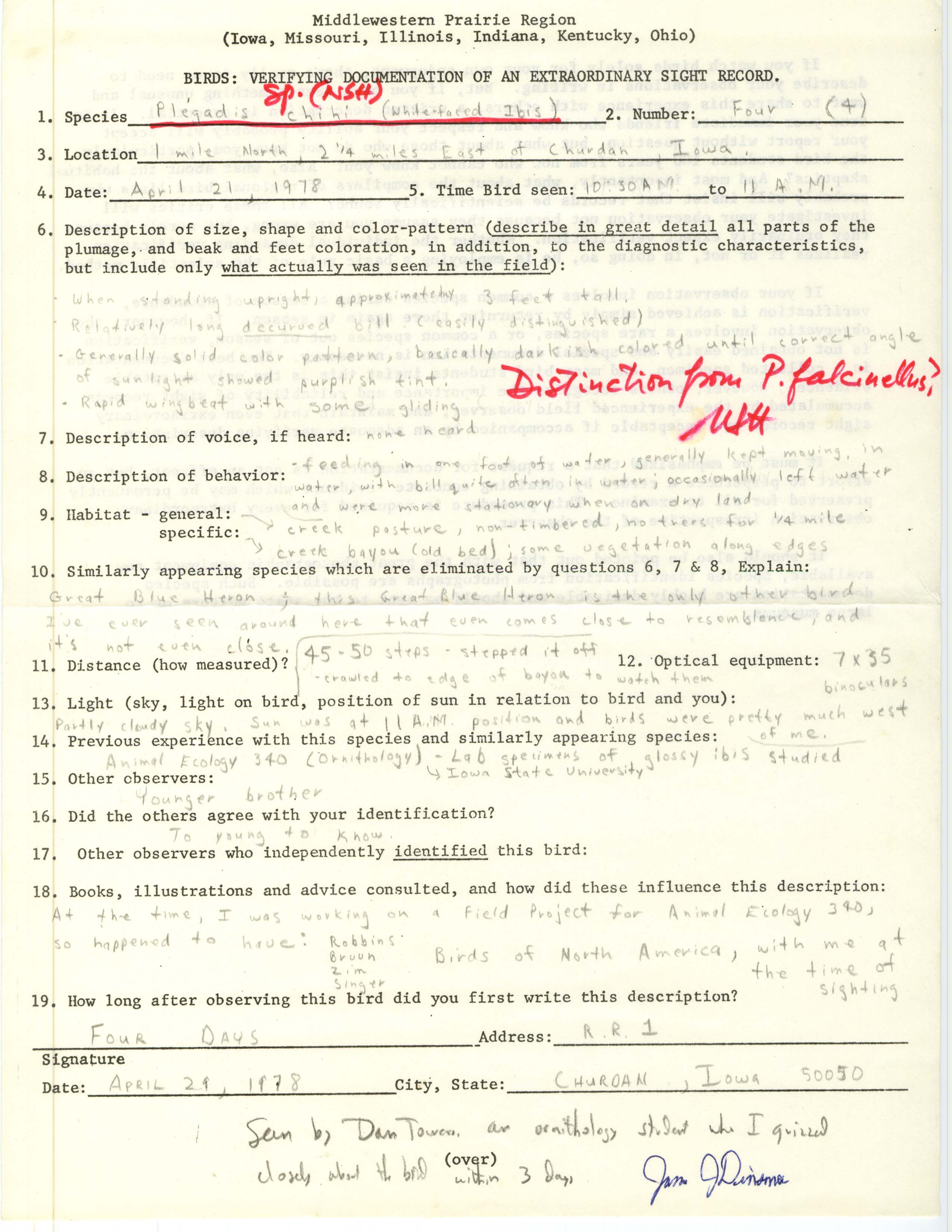 Rare bird documentation form for White-faced Ibis at Churdan, 1978