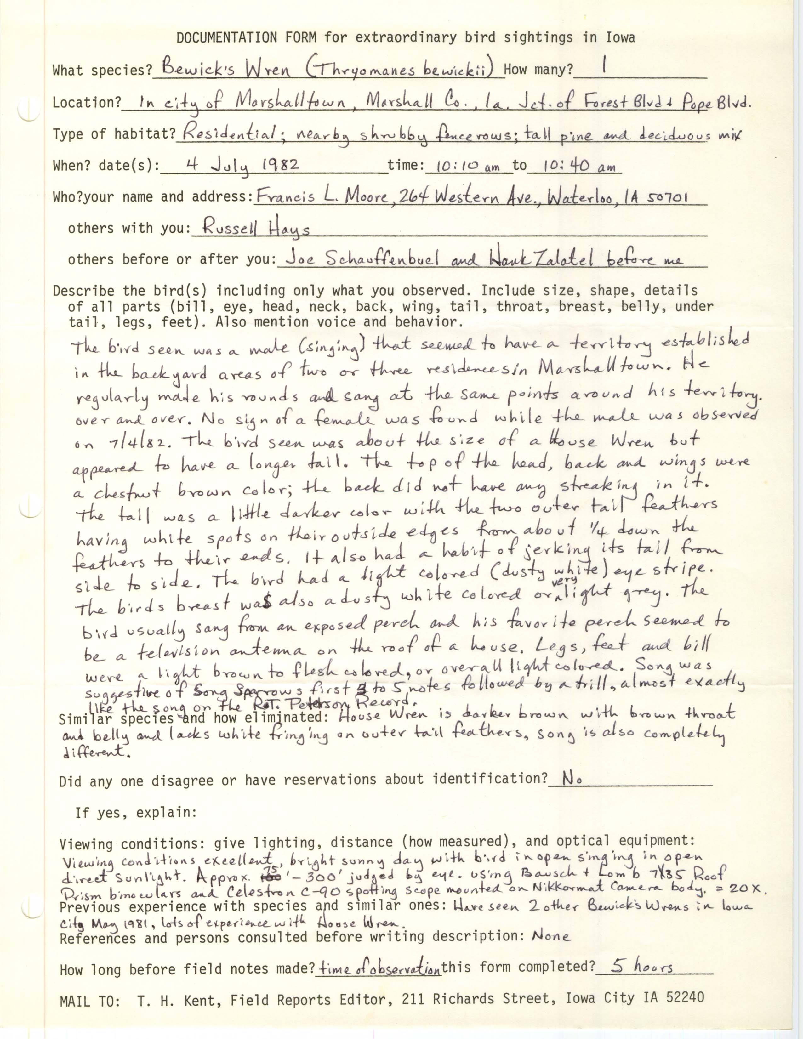Rare bird documentation form for Bewick's Wren at Marshalltown, 1982