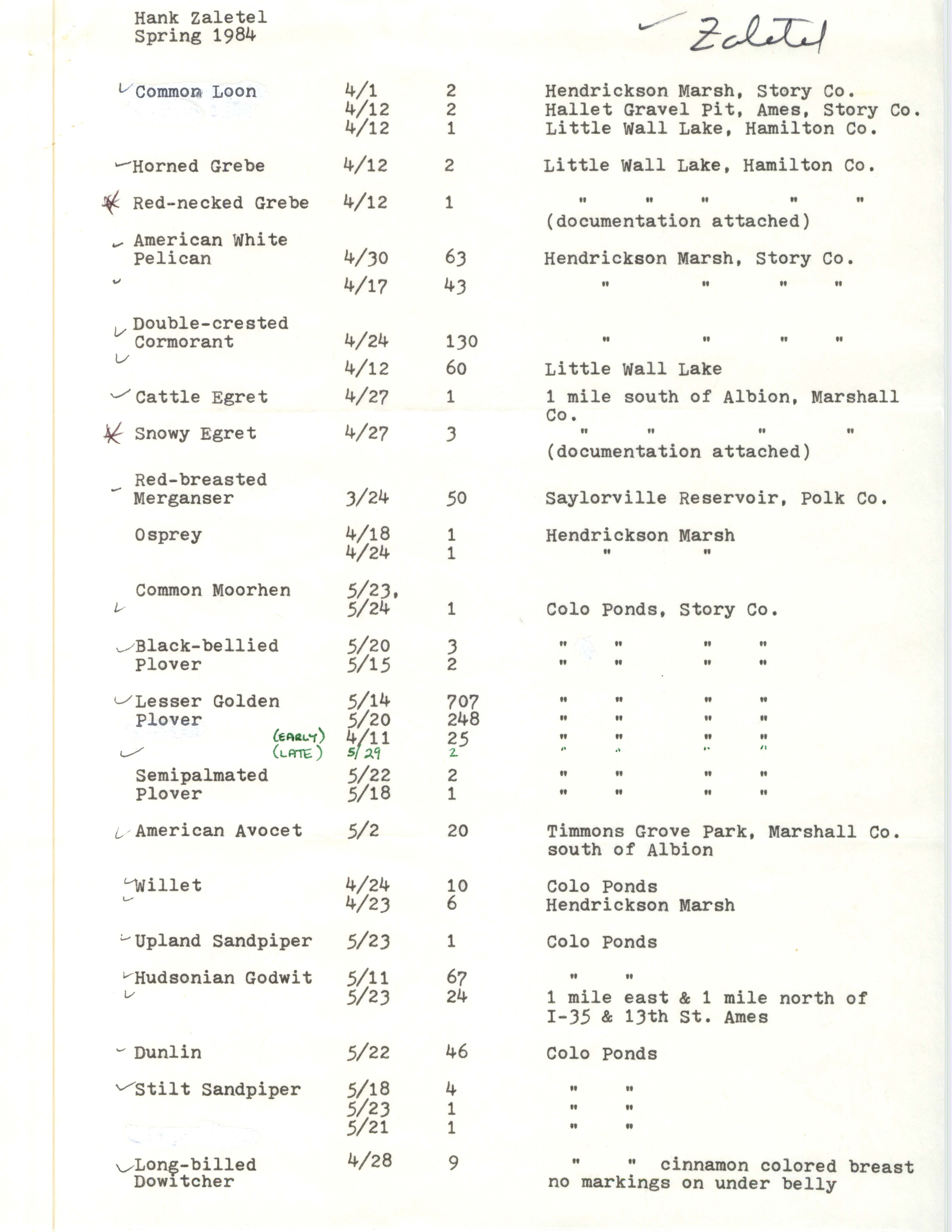 Field notes contributed by Hank Zaletel, spring 1984
