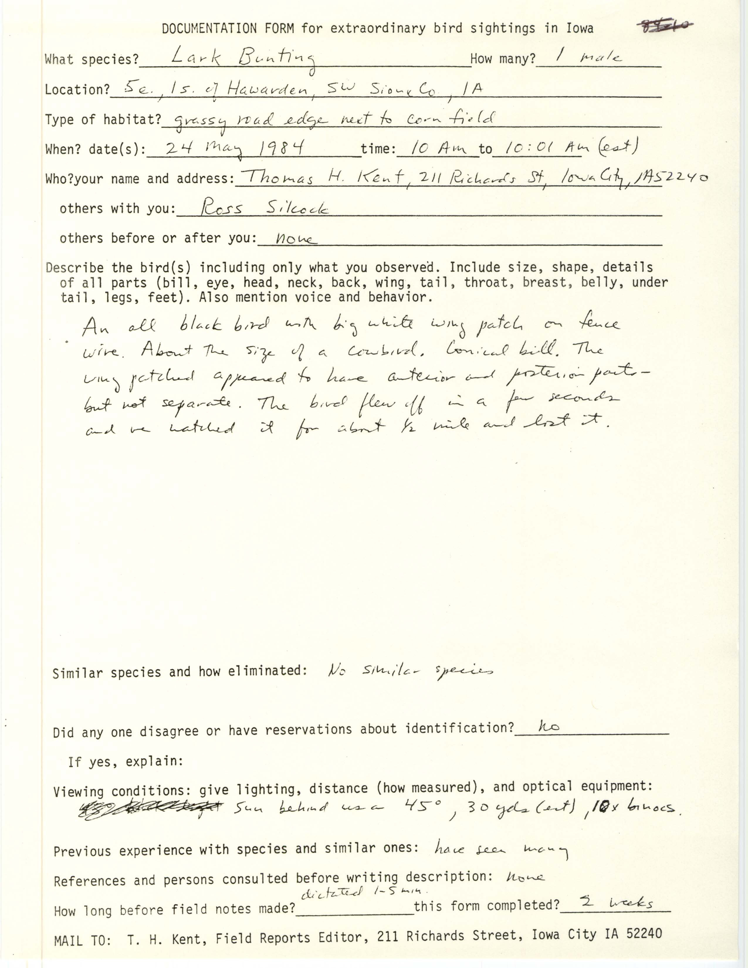Rare bird documentation form for Lark Bunting east of Hawarden in 1984
