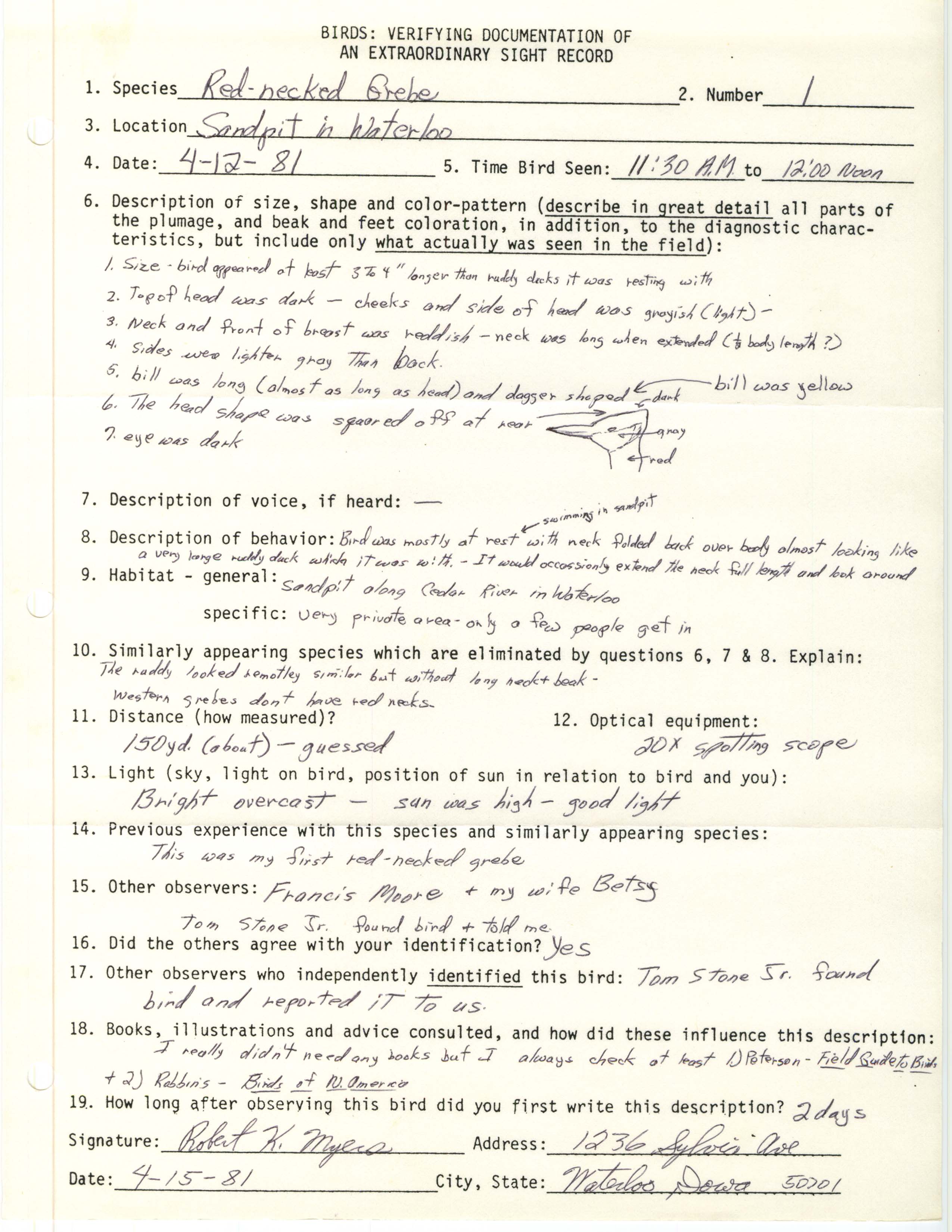 Rare bird documentation form for Red-necked Grebe, April 15,1981