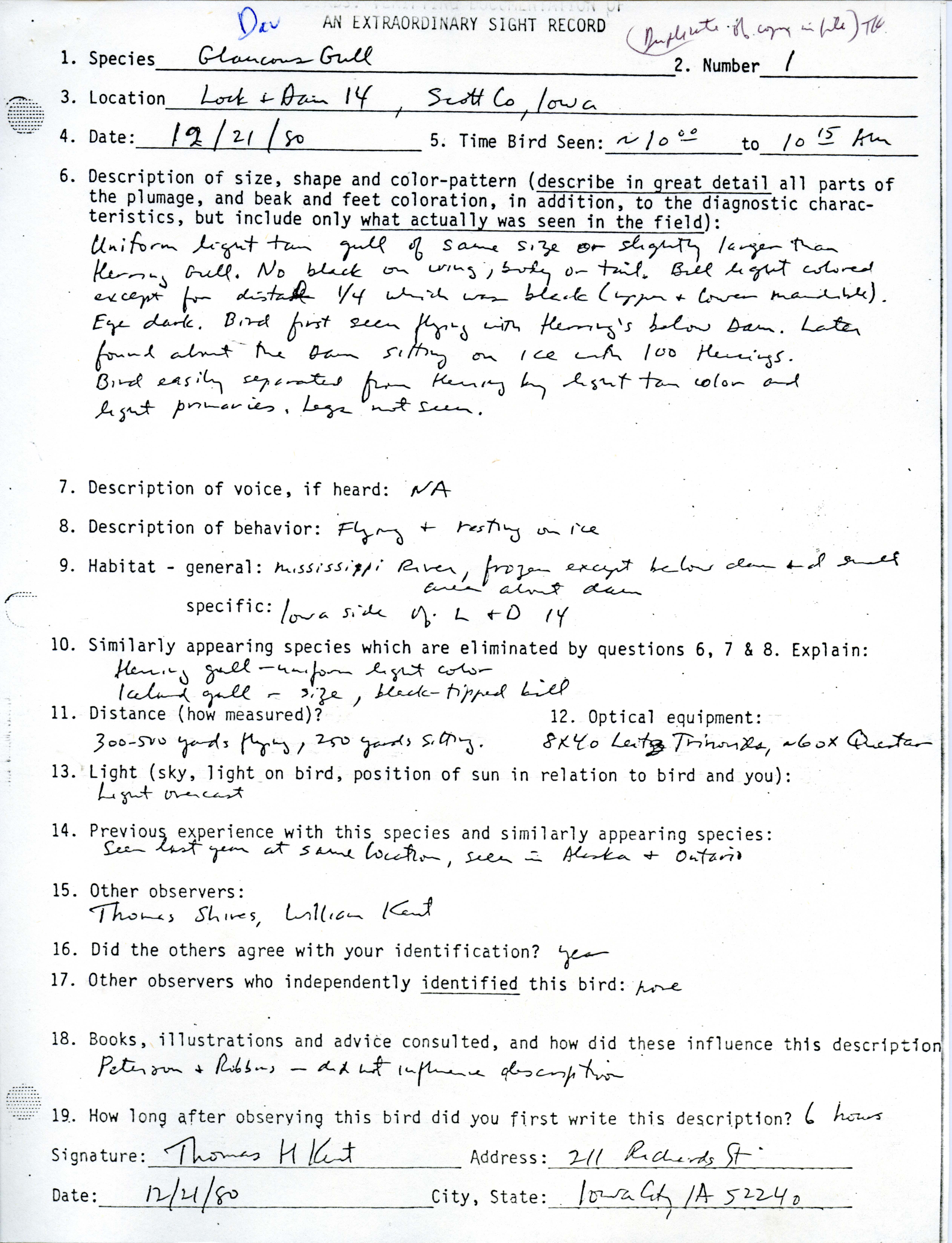 Verifying documentation form for Glaucous Gull sighting submitted by Thomas H. Kent, December 21 1980