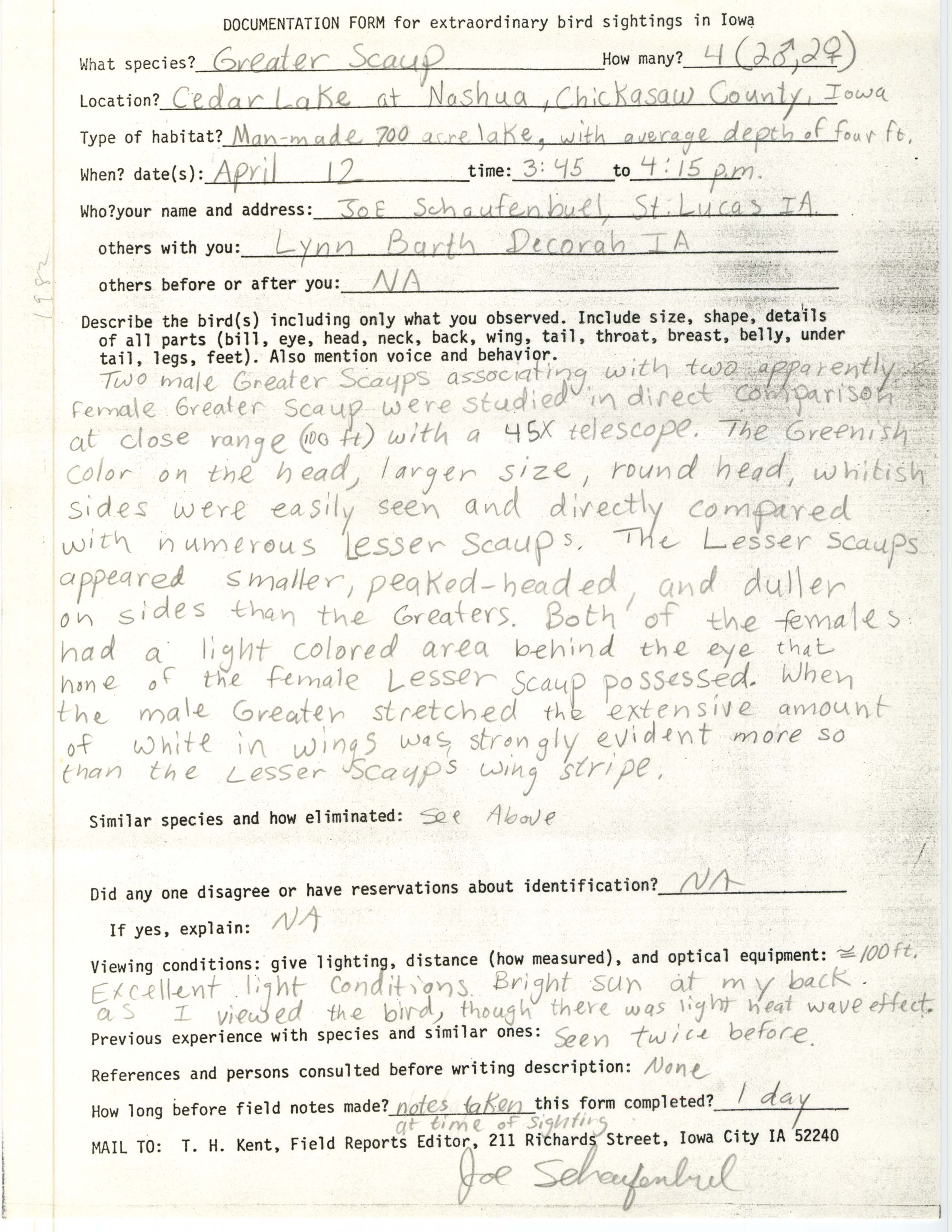 Rare bird documentation form for Greater Scaup at Cedar Lake, 1982
