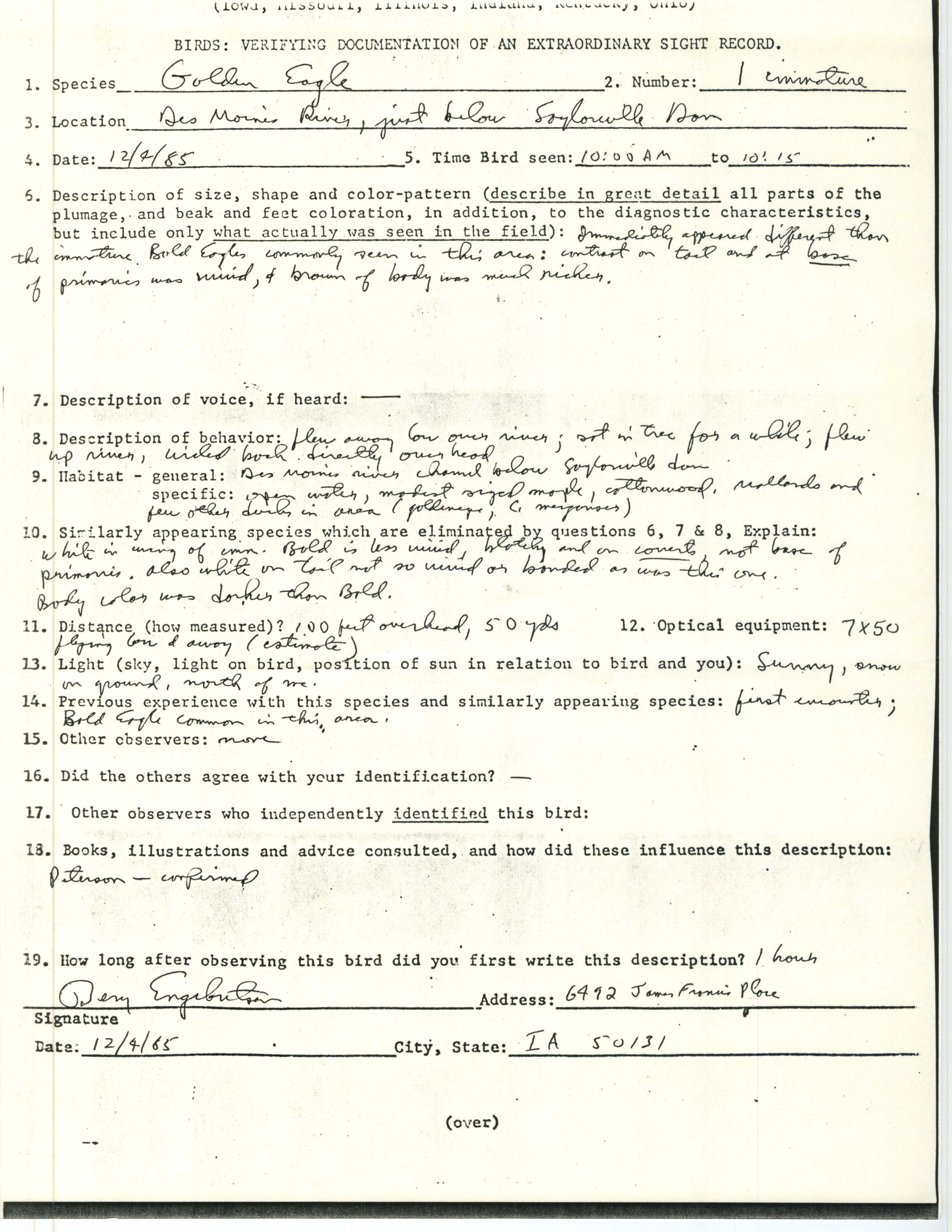 Rare bird documentation form for Golden Eagle near Saylorville Dam, 1985