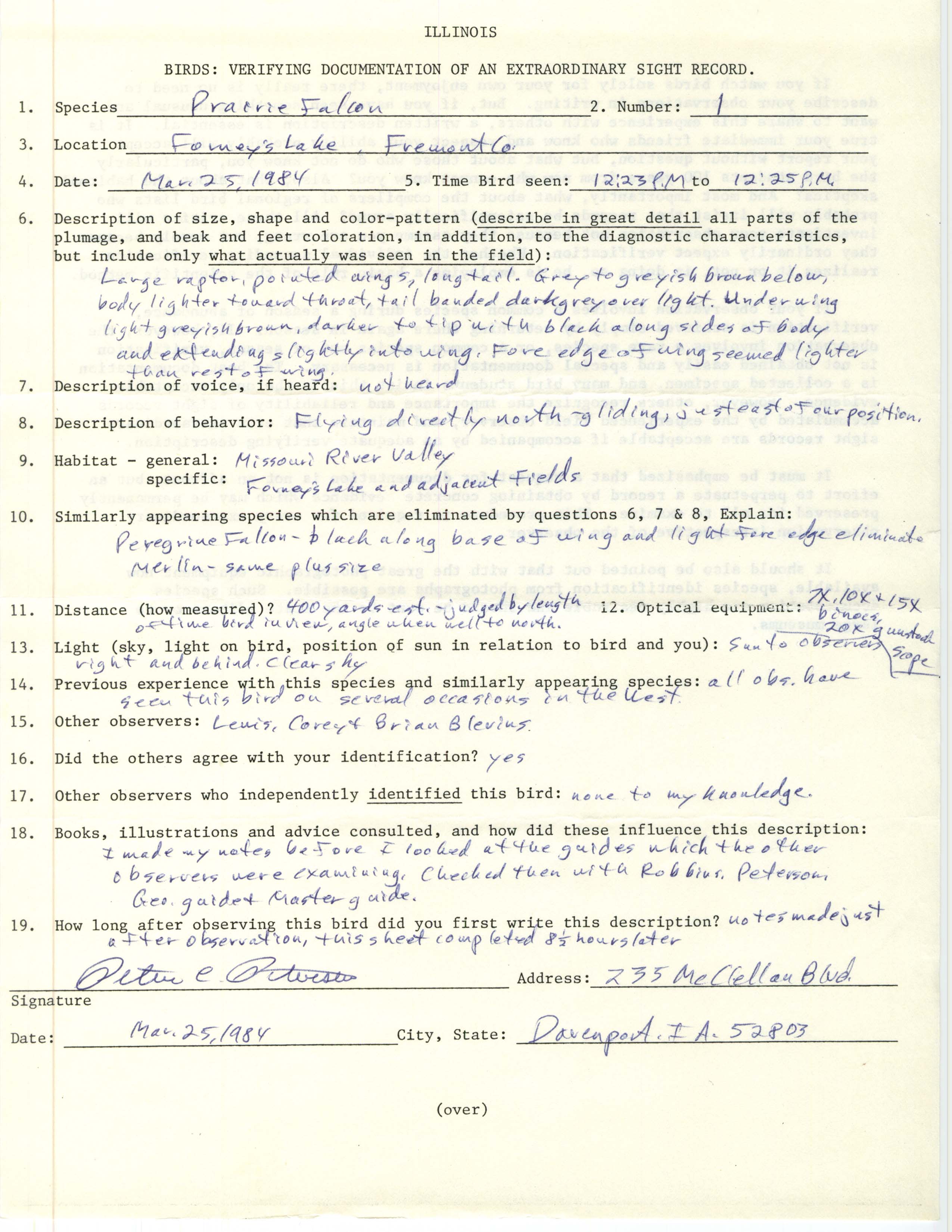 Rare bird documentation form for Prairie Falcon at Forney's Lake, 1984