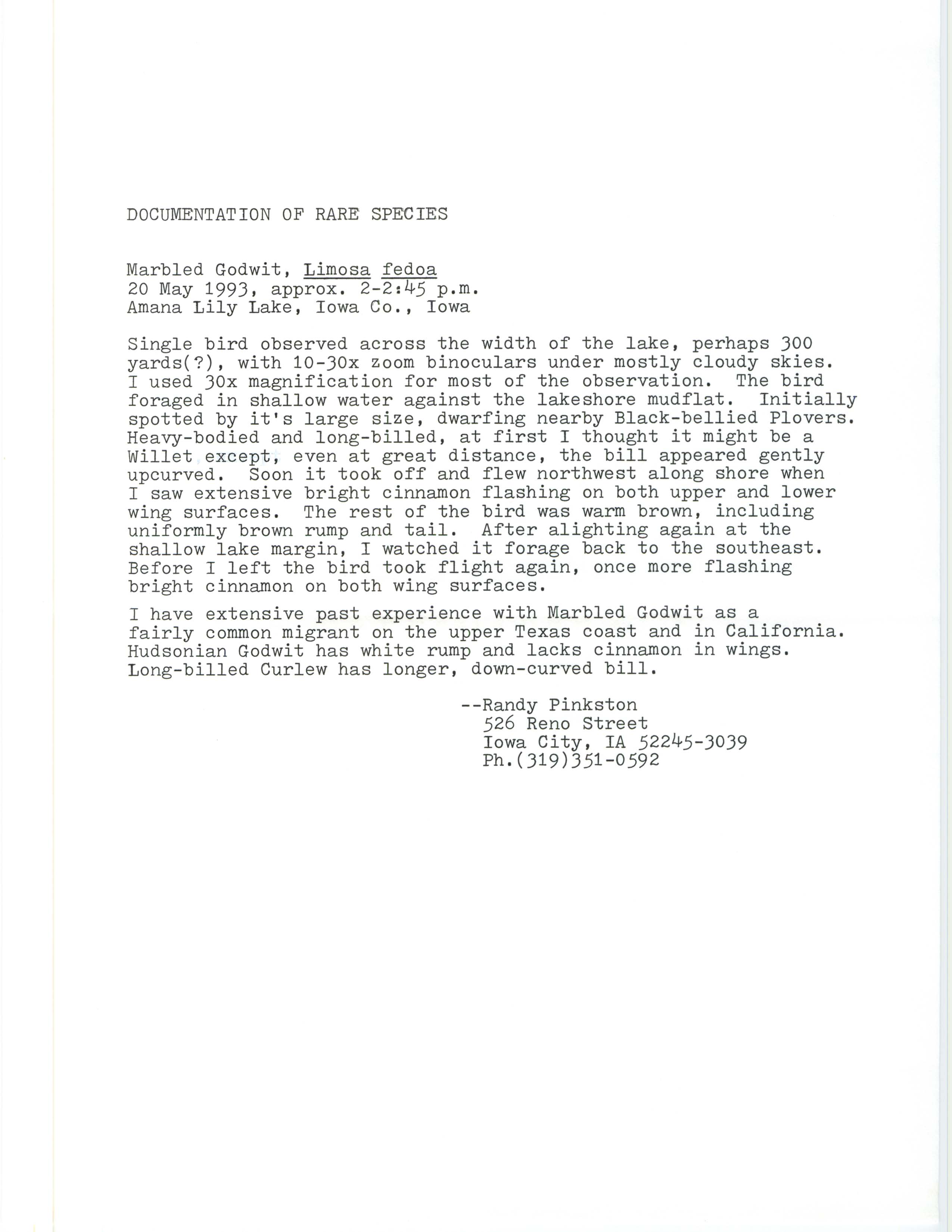 Rare bird documentation form for Marbled Godwit at Amana Lily Lake, 1993
