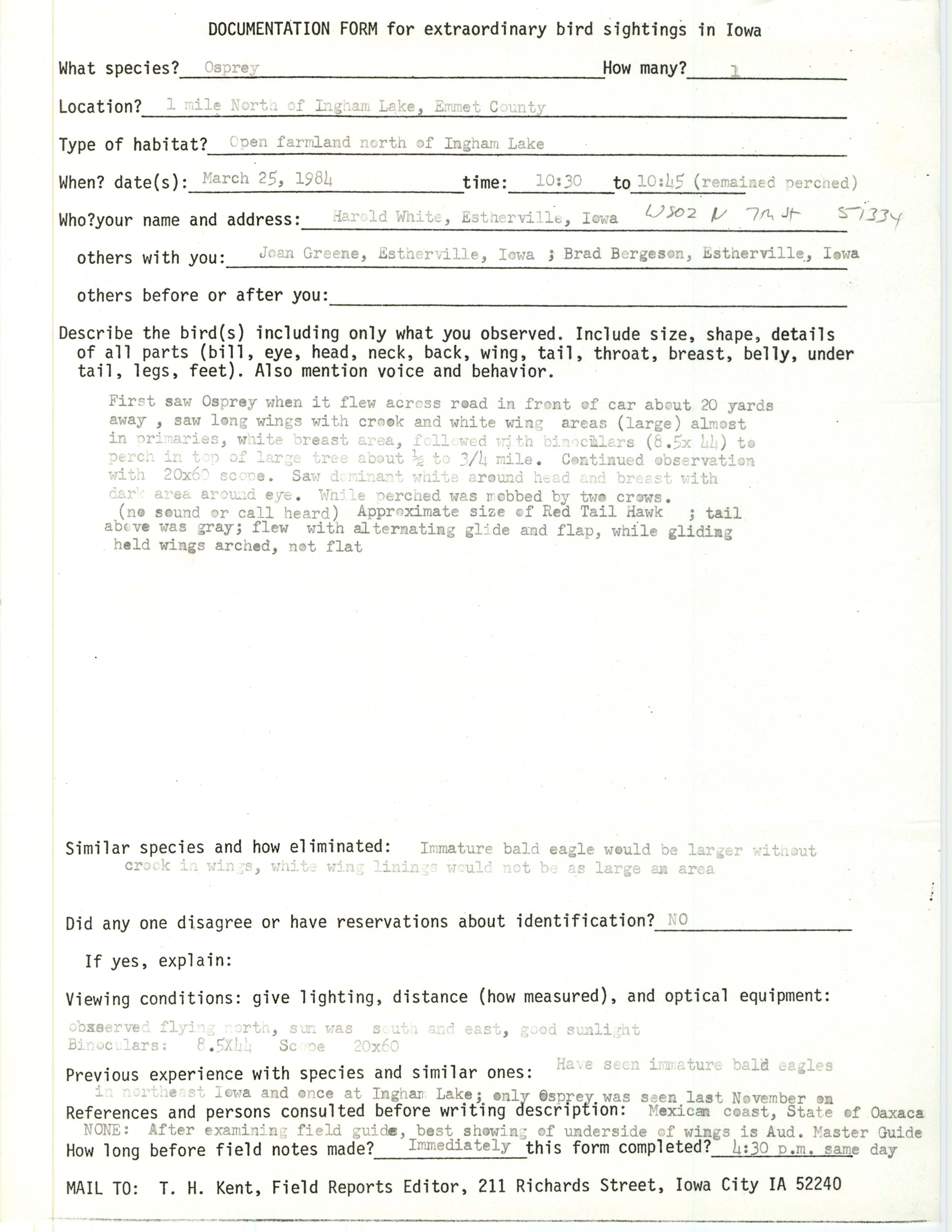 Rare bird documentation form for Osprey at Ingham Lake, 1984