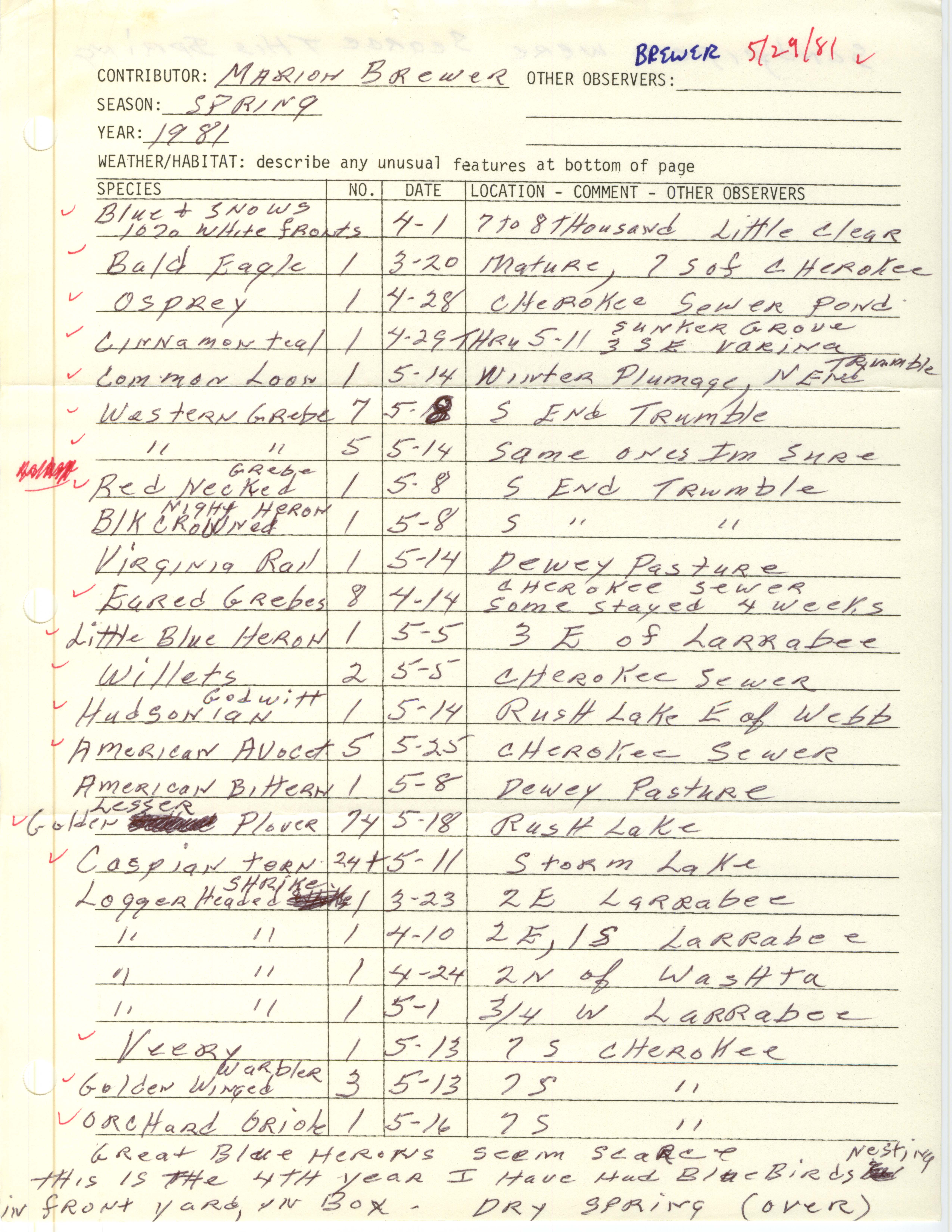 Annotated bird sighting list for spring 1981 compiled by Marion Brewer