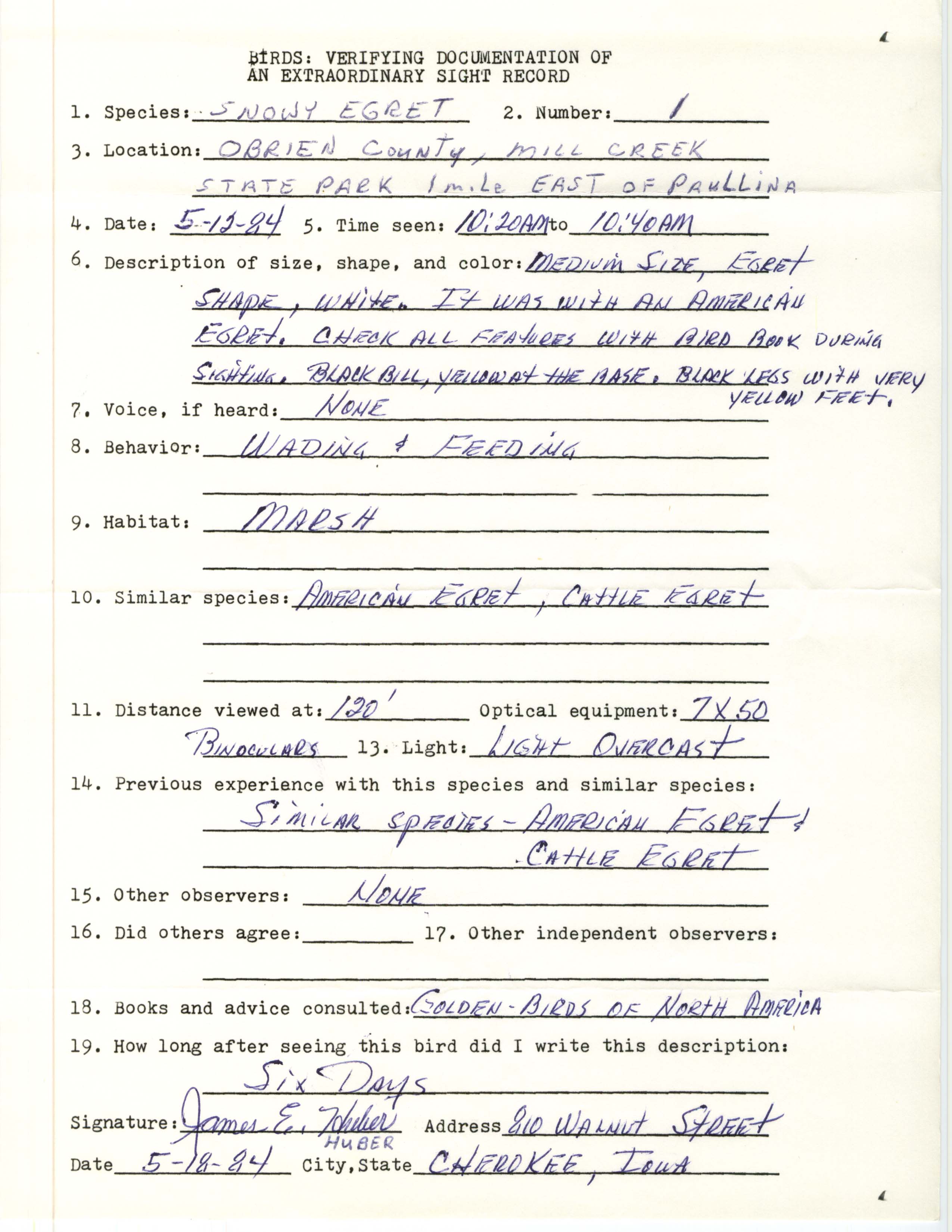 Rare bird documentation form for a Snowy Egret at Mill Creek State Park, 1984