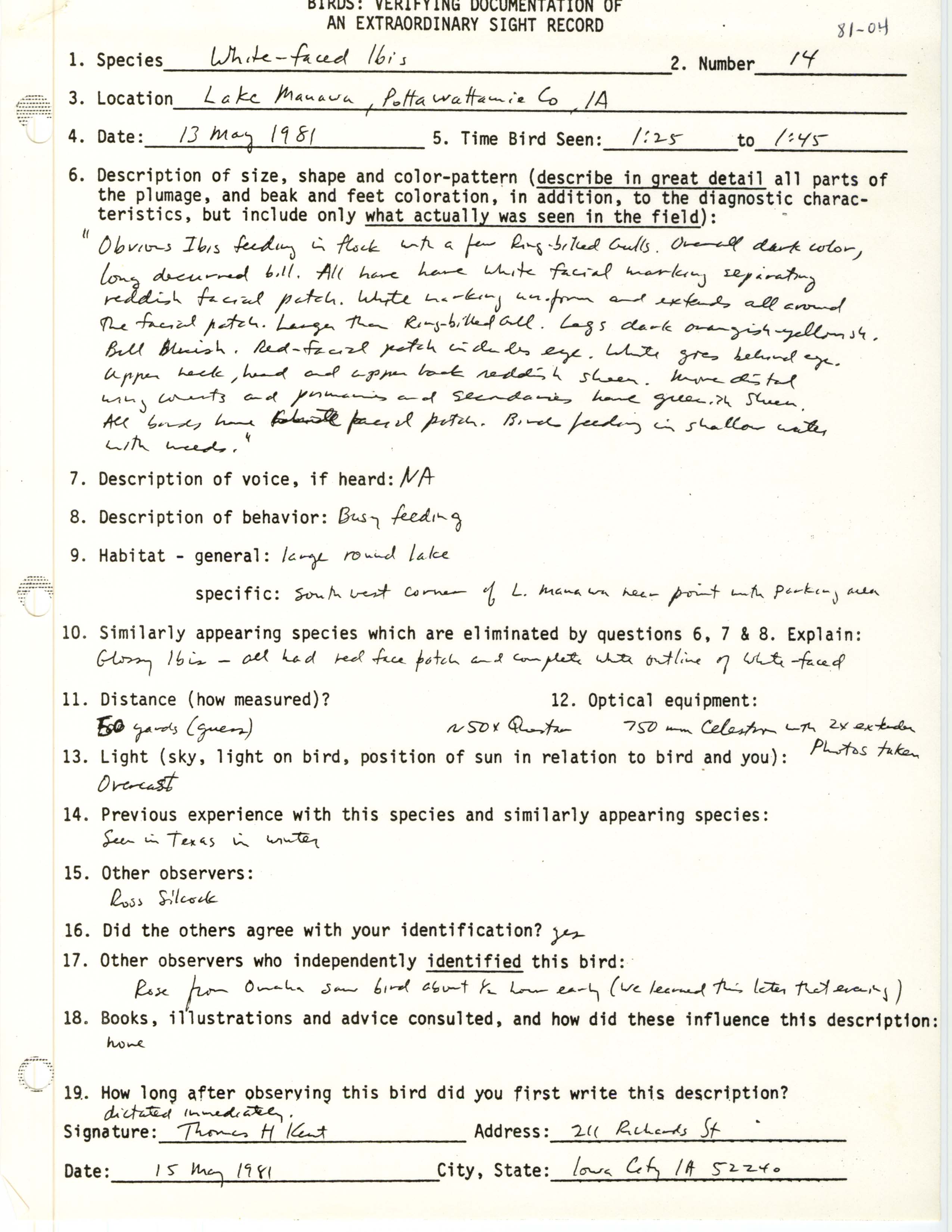 Rare bird documentation form for White-faced Ibis at Lake Manawa, 1981