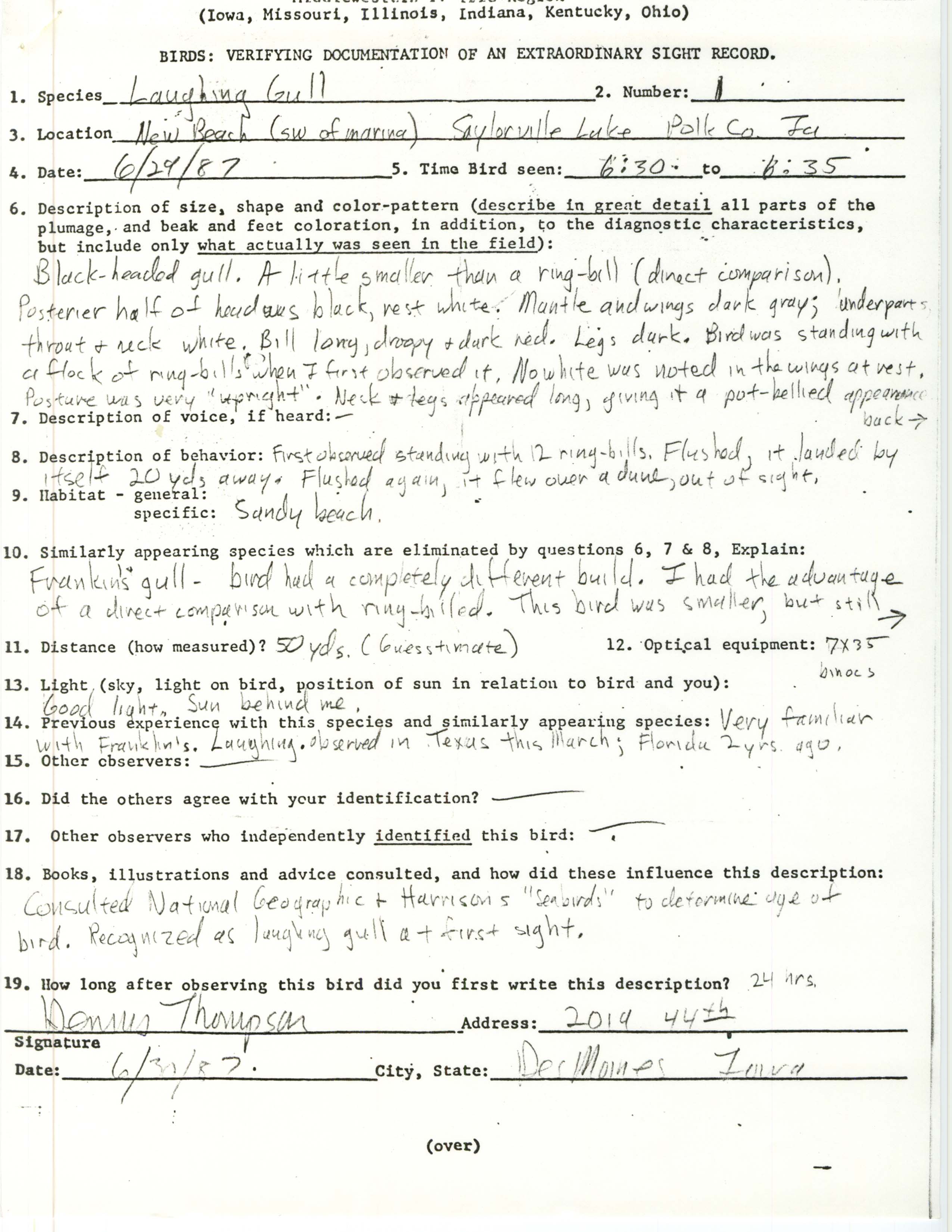 Rare bird documentation form for Laughing Gull at Saylorville Lake, 1987