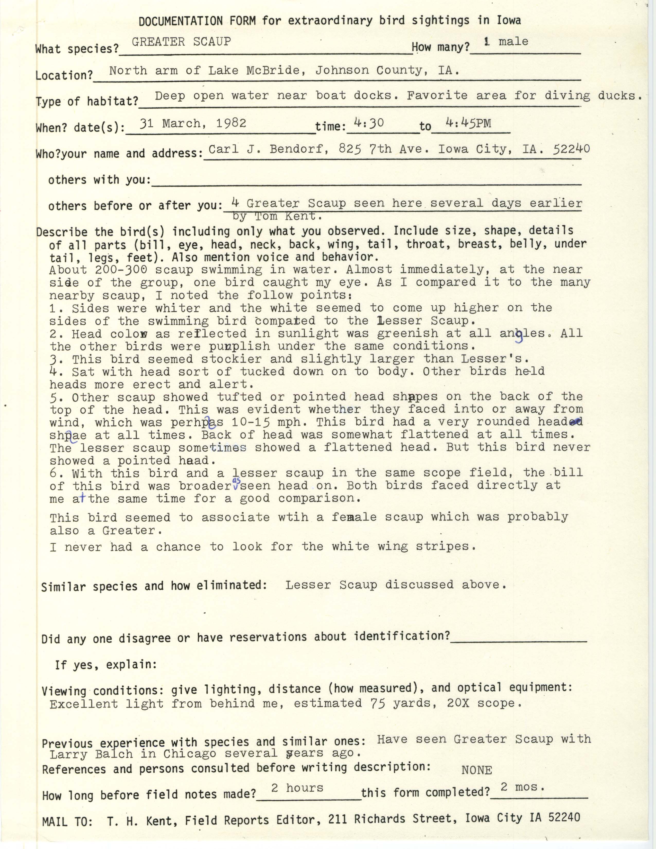 Rare bird documentation form for Greater Scaup at Lake MacBride, 1982