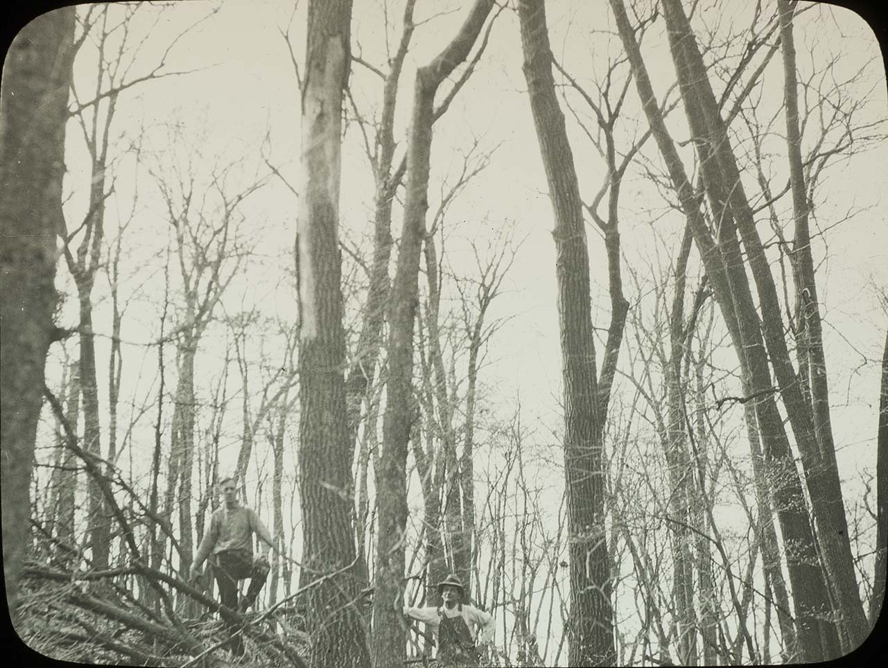 Lantern slide of two unidentified men standing in a wooded area