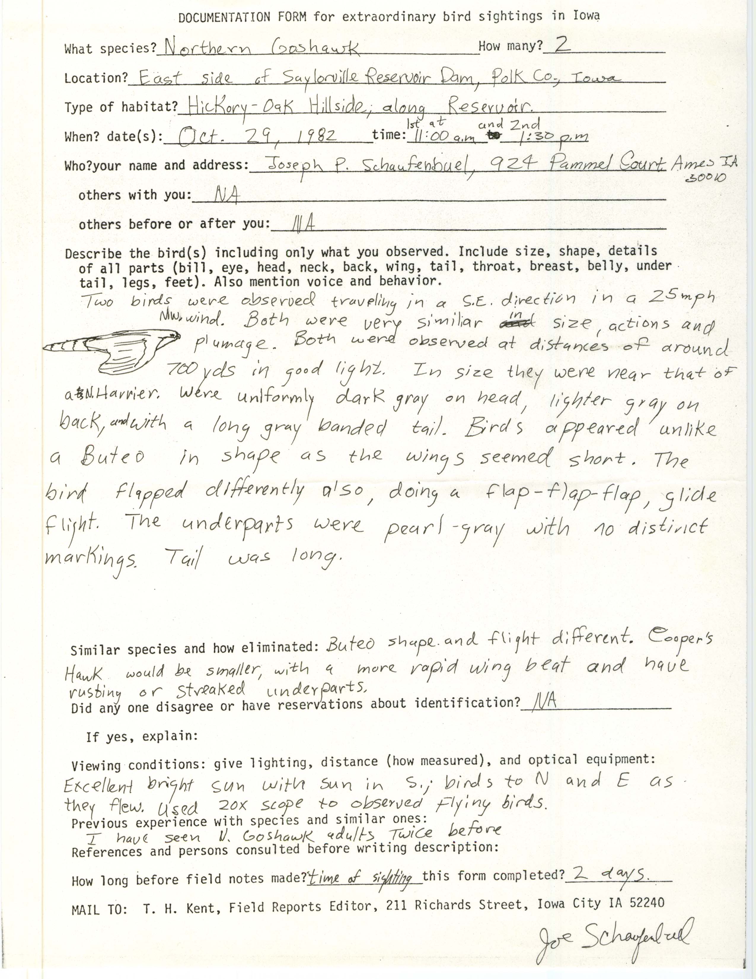 Rare bird documentation form for Northern Goshawk at Saylorville Reservoir Dam, 1982