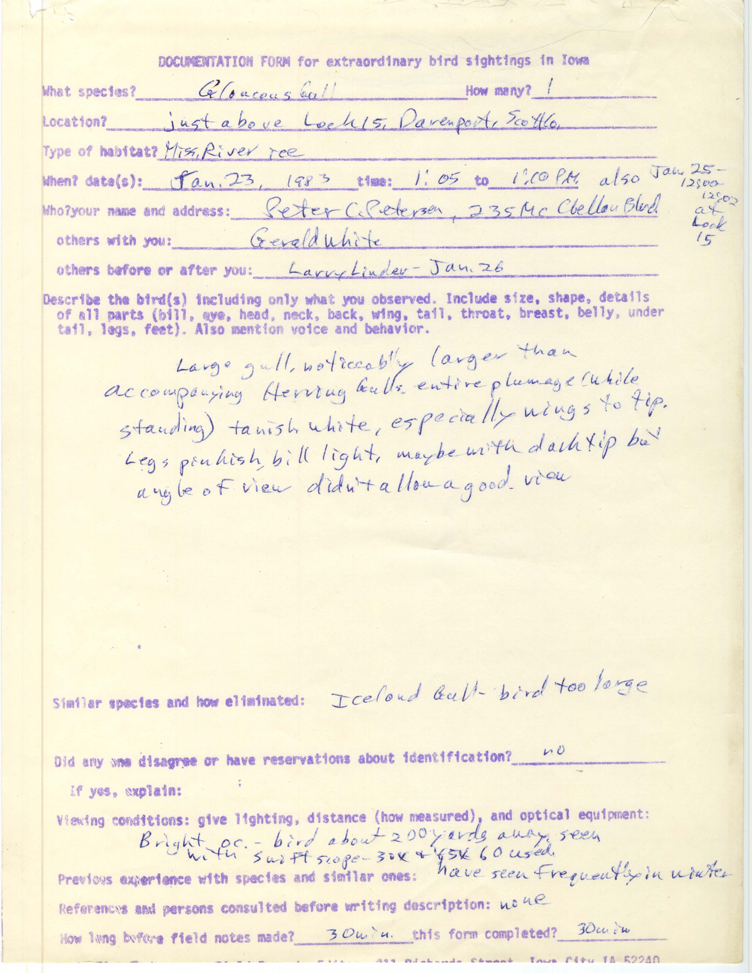 Rare bird documentation form for Glaucous Gull at Lock and Dam 15, 1983