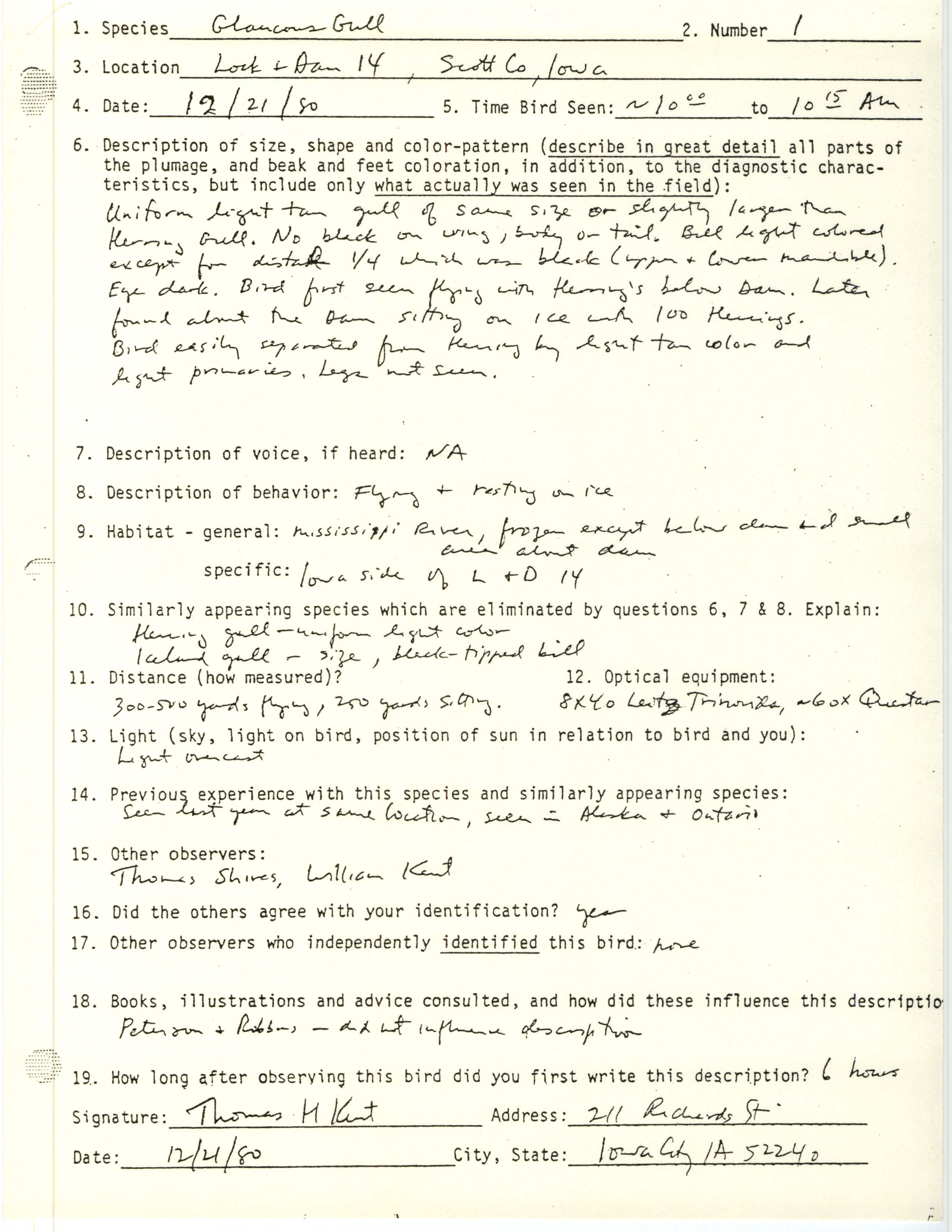 Rare bird documentation form for Glaucous Gull at Lock and Dam 14, 1980