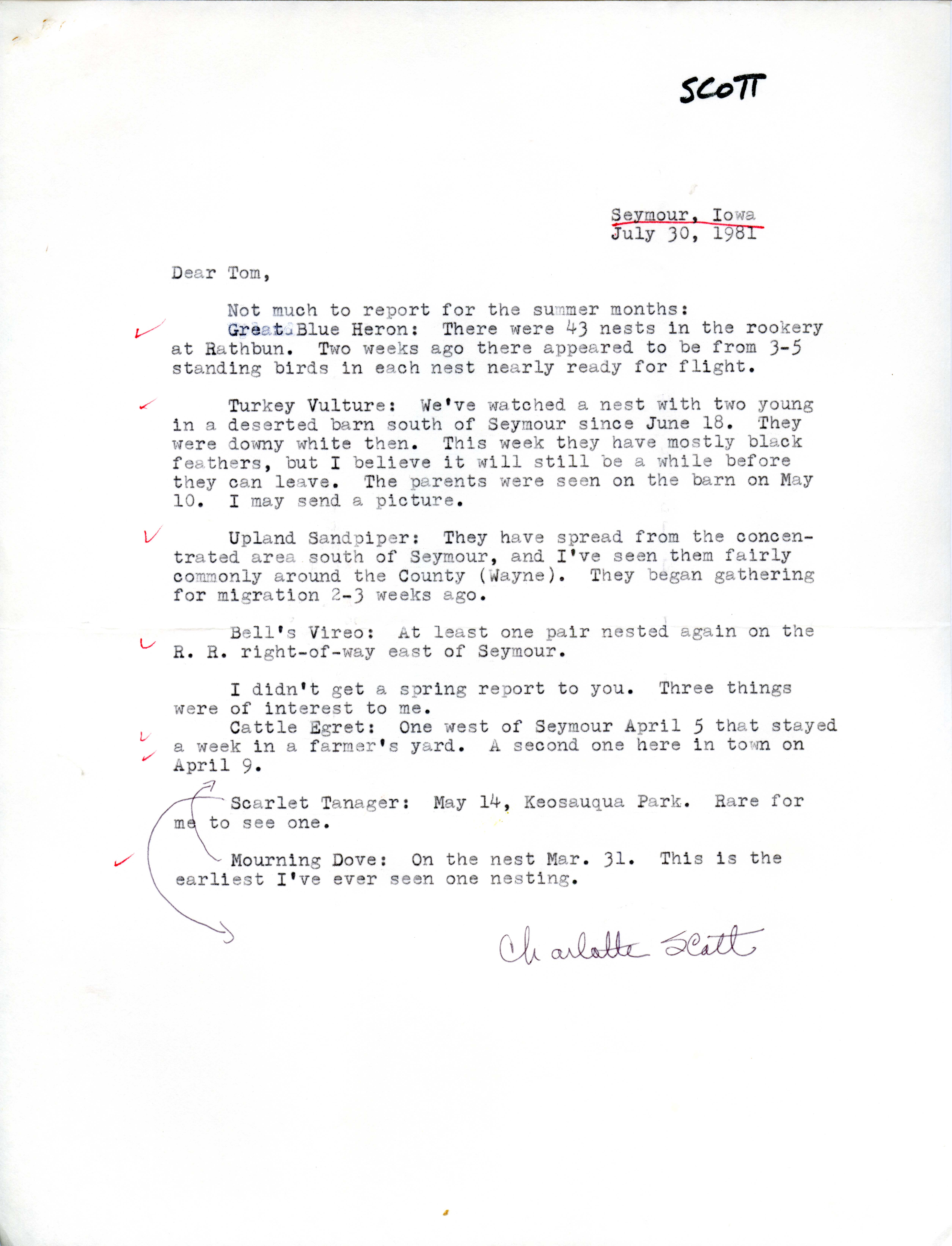 Charlotte Scott letter to Thomas H. Kent regarding summer bird sightings, July 30, 1981