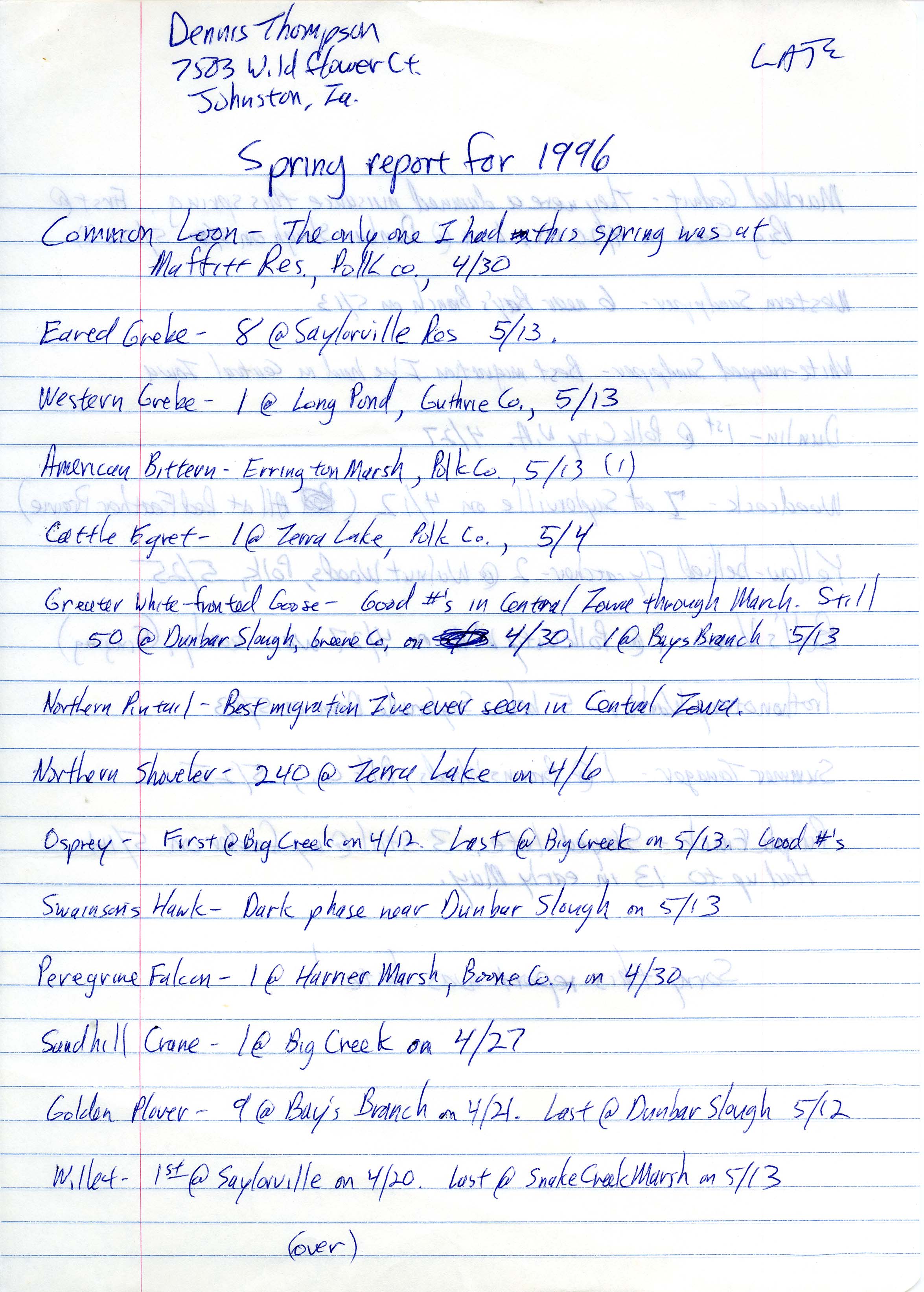 Field notes contributed by Dennis Thompson, spring 1996