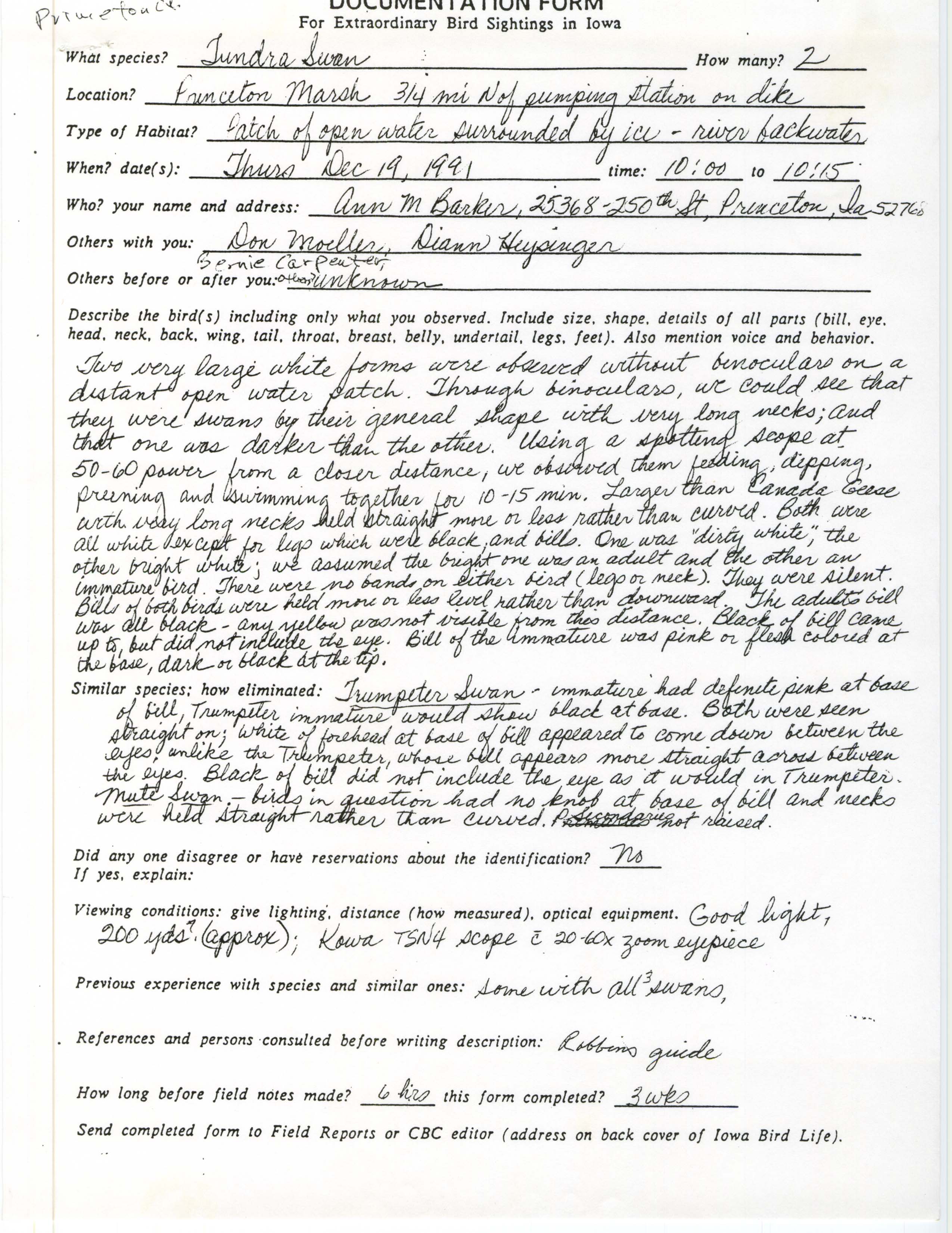 Rare bird documentation form for Tundra Swan at Princeton Marsh, 1991
