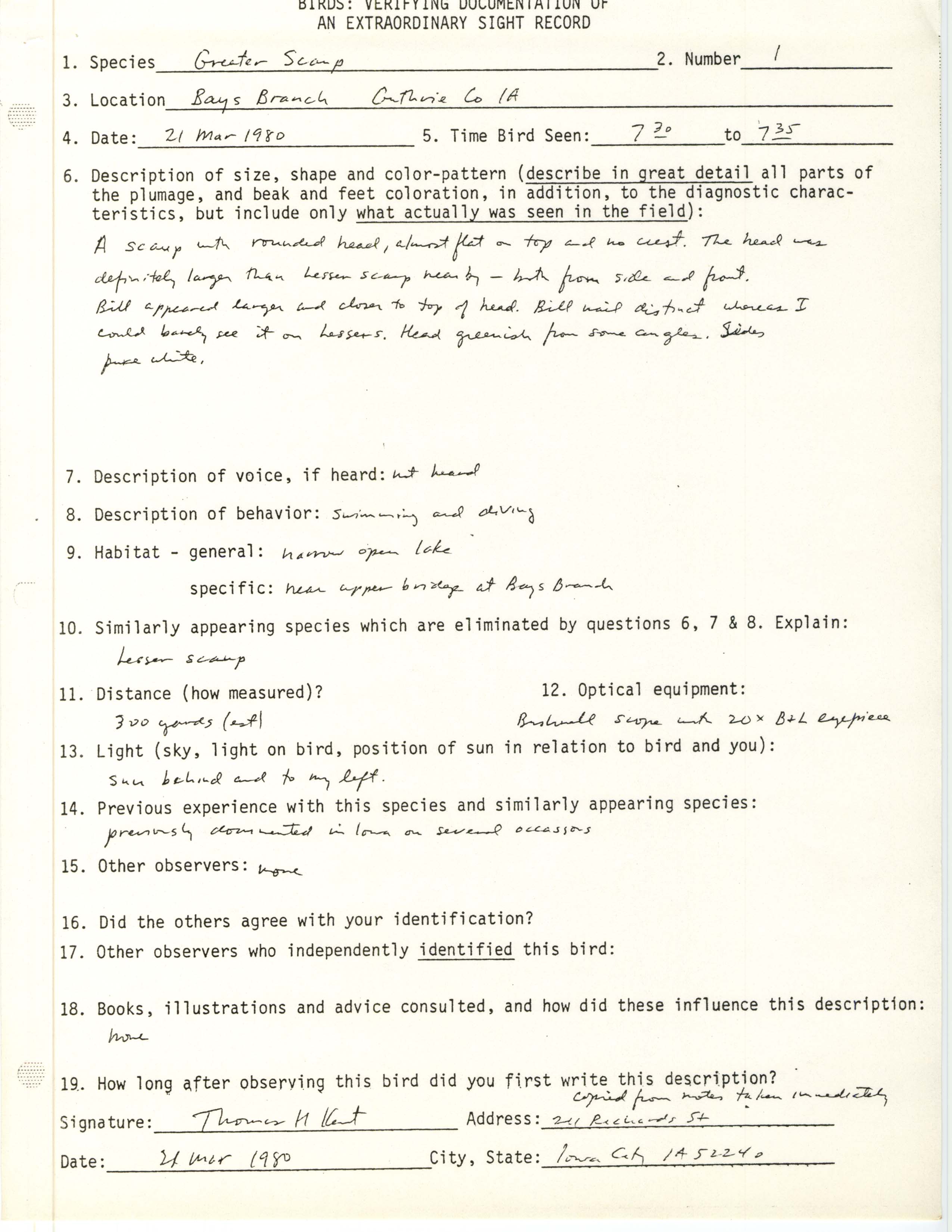 Rare bird documentation form for Greater Scaup at Bays Branch, 1980