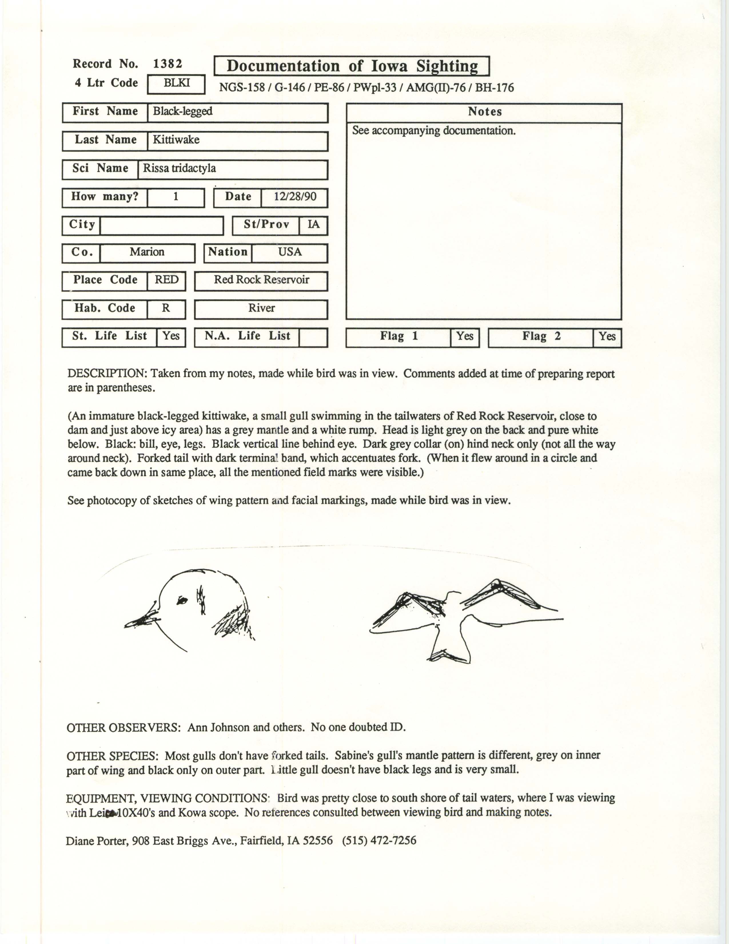 Rare bird documentation form for Black-legged Kittiwake at Red Rock Reservoir, 1990