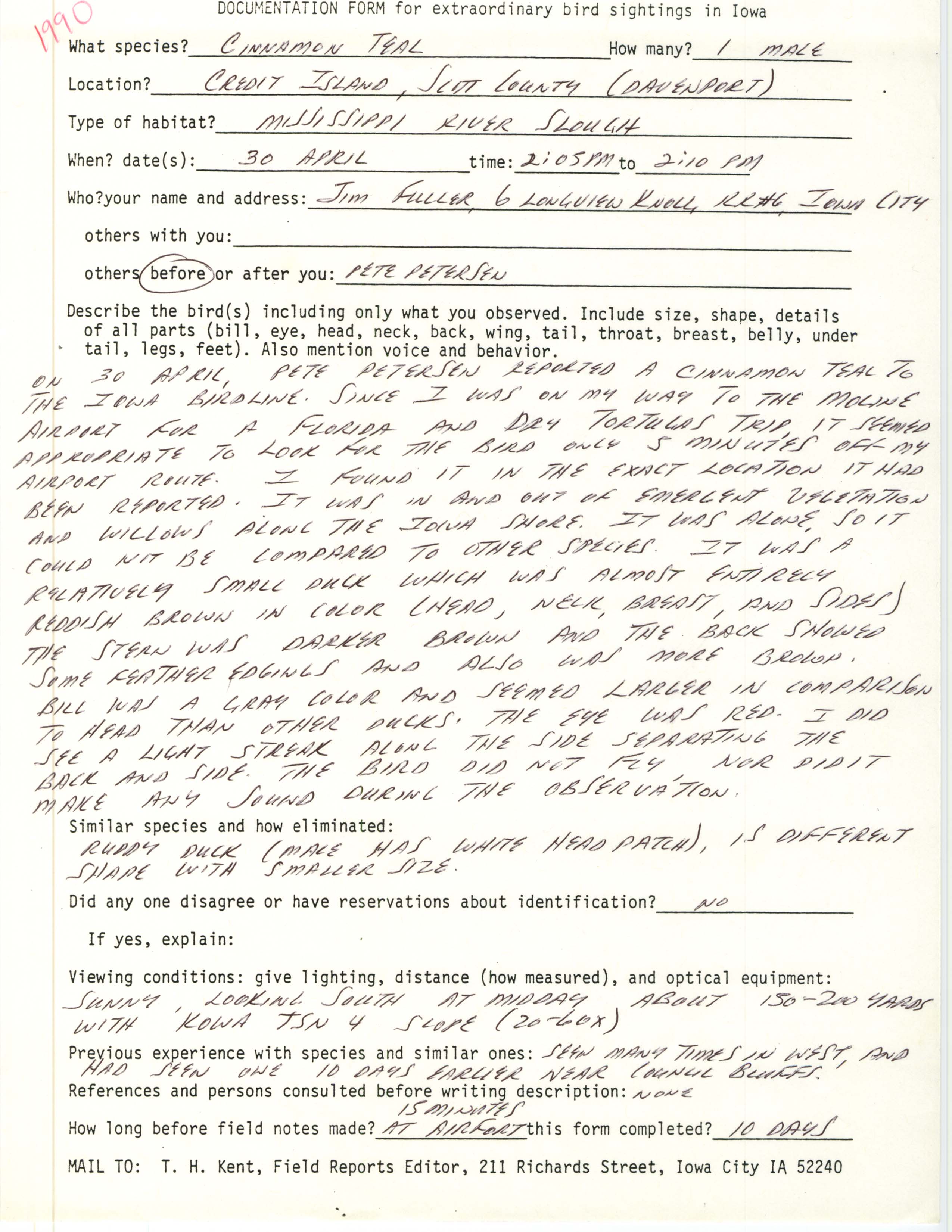 Rare bird documentation form for Cinnamon Teal at Credit Island, 1990