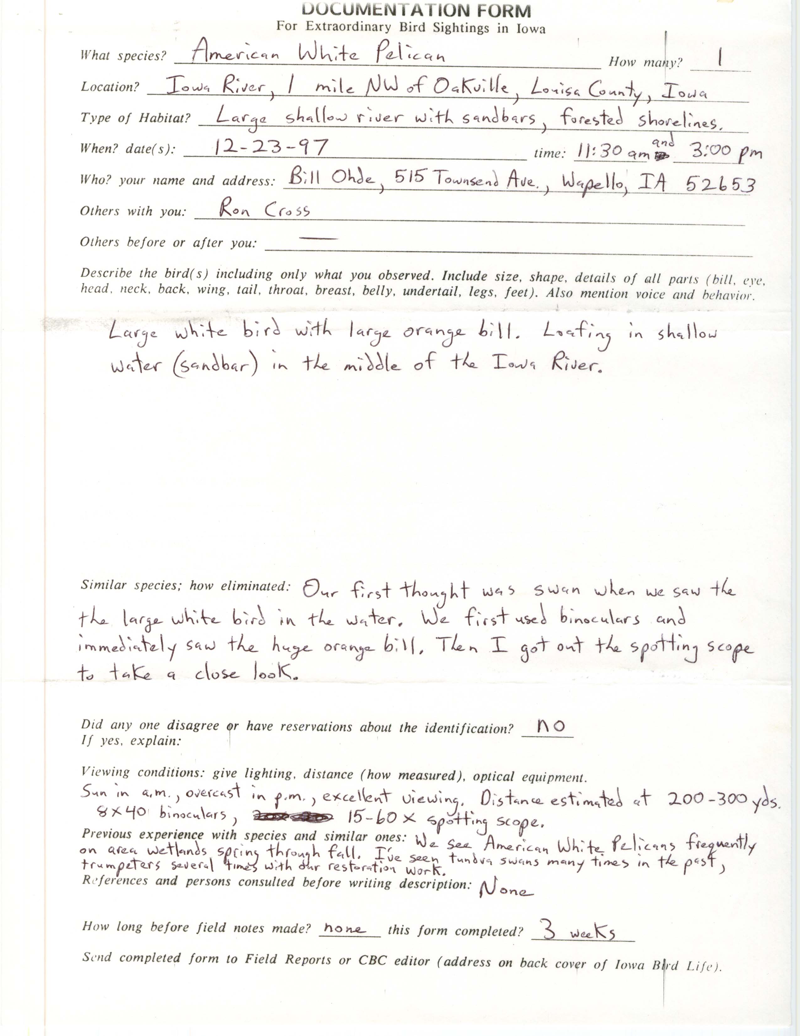 Rare bird documentation form for American White Pelican at Oakville, 1997