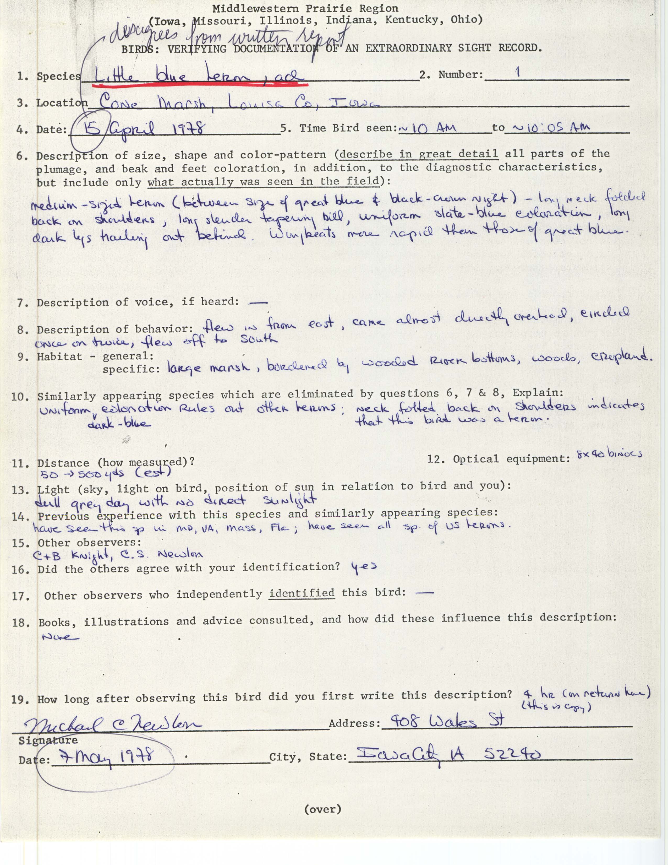 Rare bird documentation form for Little Blue Heron at Cone Marsh, 1978