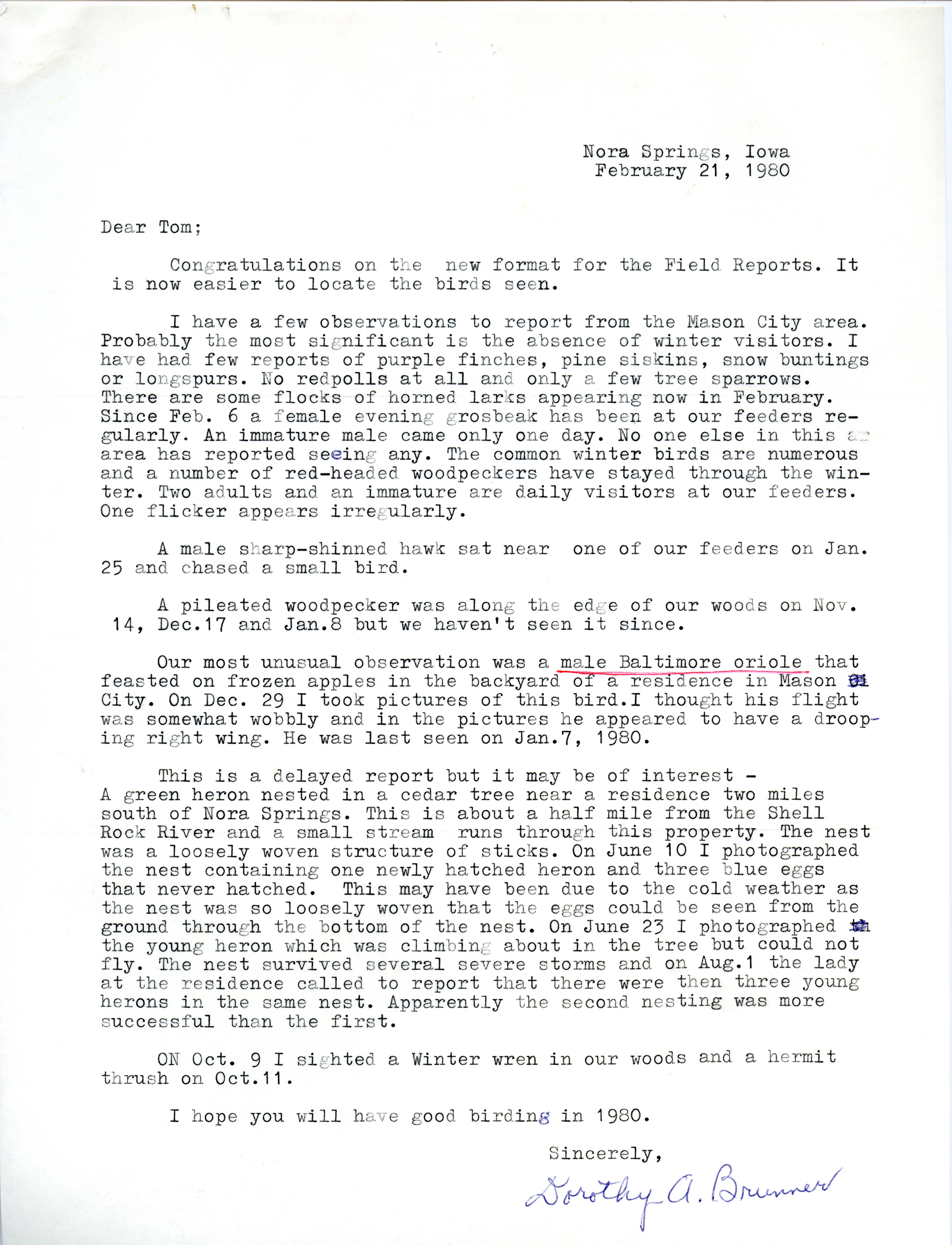 Dorothy A. Brunner letter to Thomas H. Kent regarding bird sightings, February 21, 1980