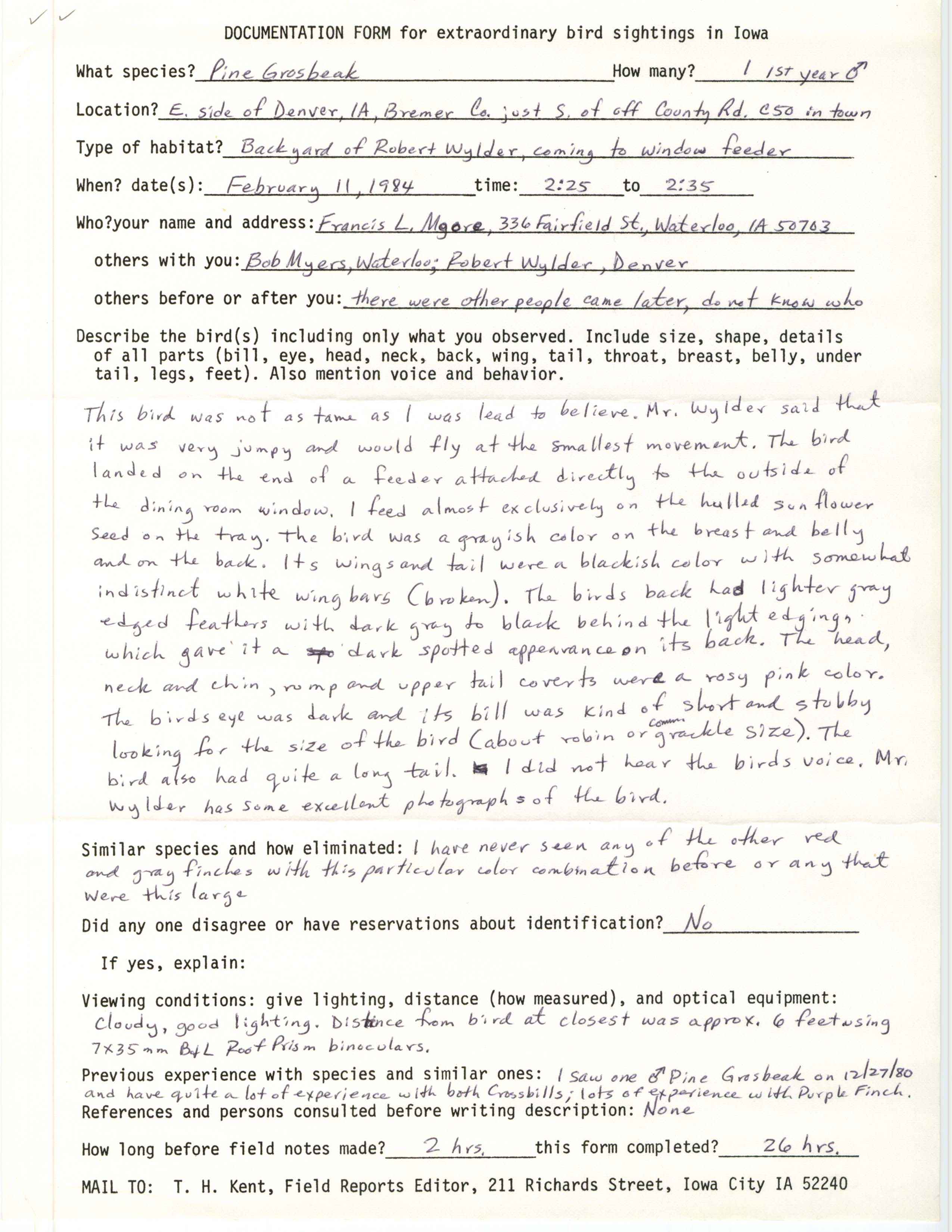 Rare bird documentation form for Pine Grosbeak at Denver, 1984