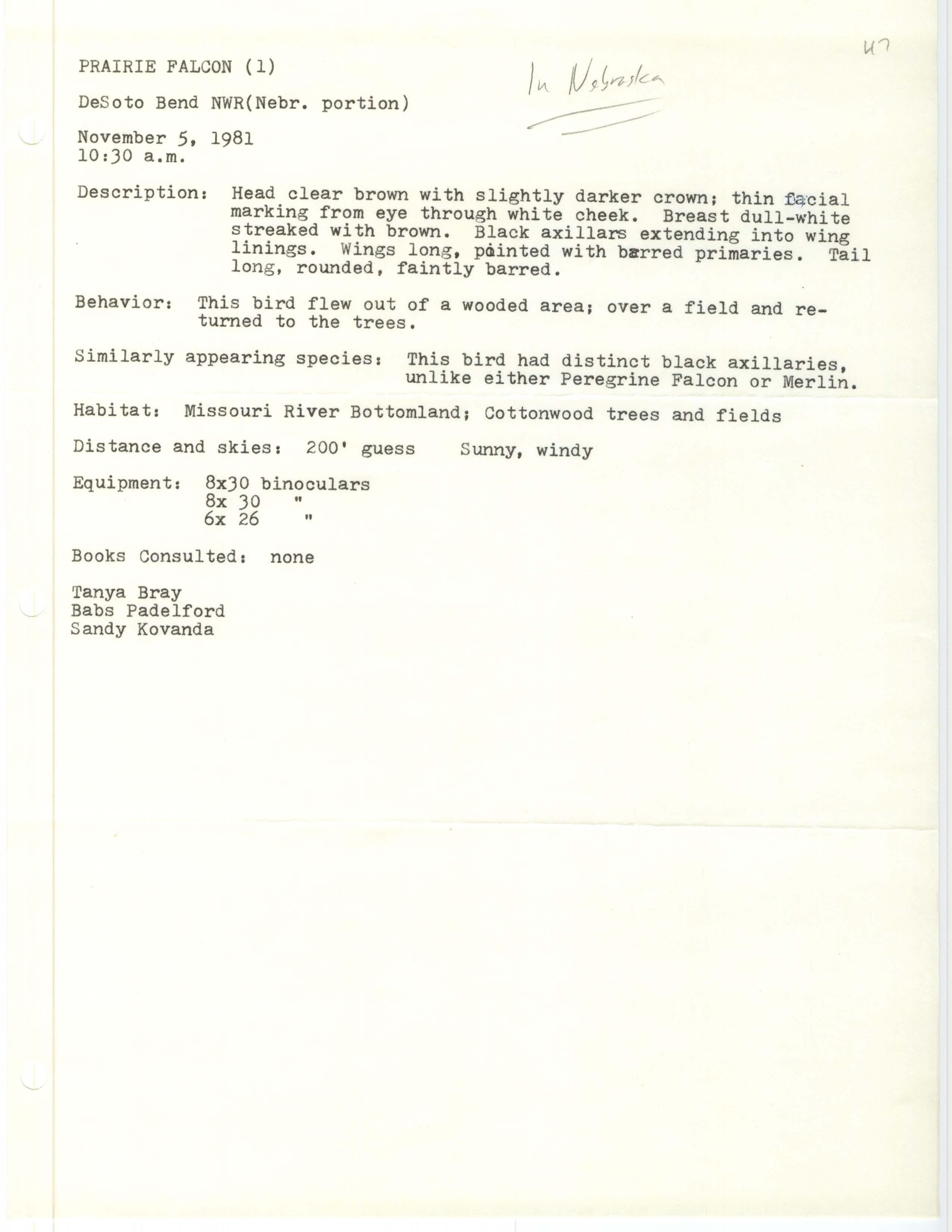 Rare bird documentation form for Prairie Falcon at DeSoto Bend National Wildlife Refuge, 1981