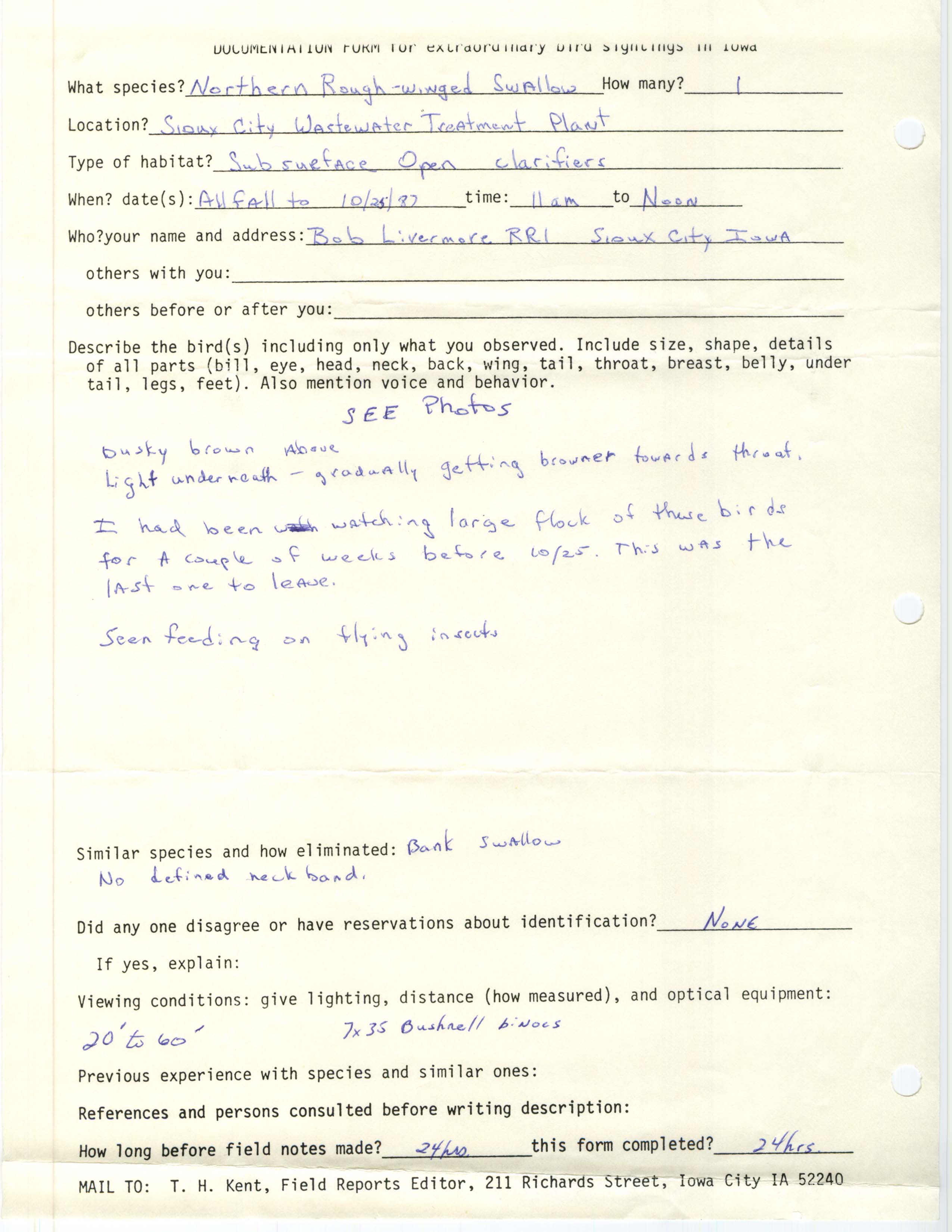 Rare bird documentation form for Northern Rough-winged Swallow at Sioux City Wastewater Treatment Plant in 1987