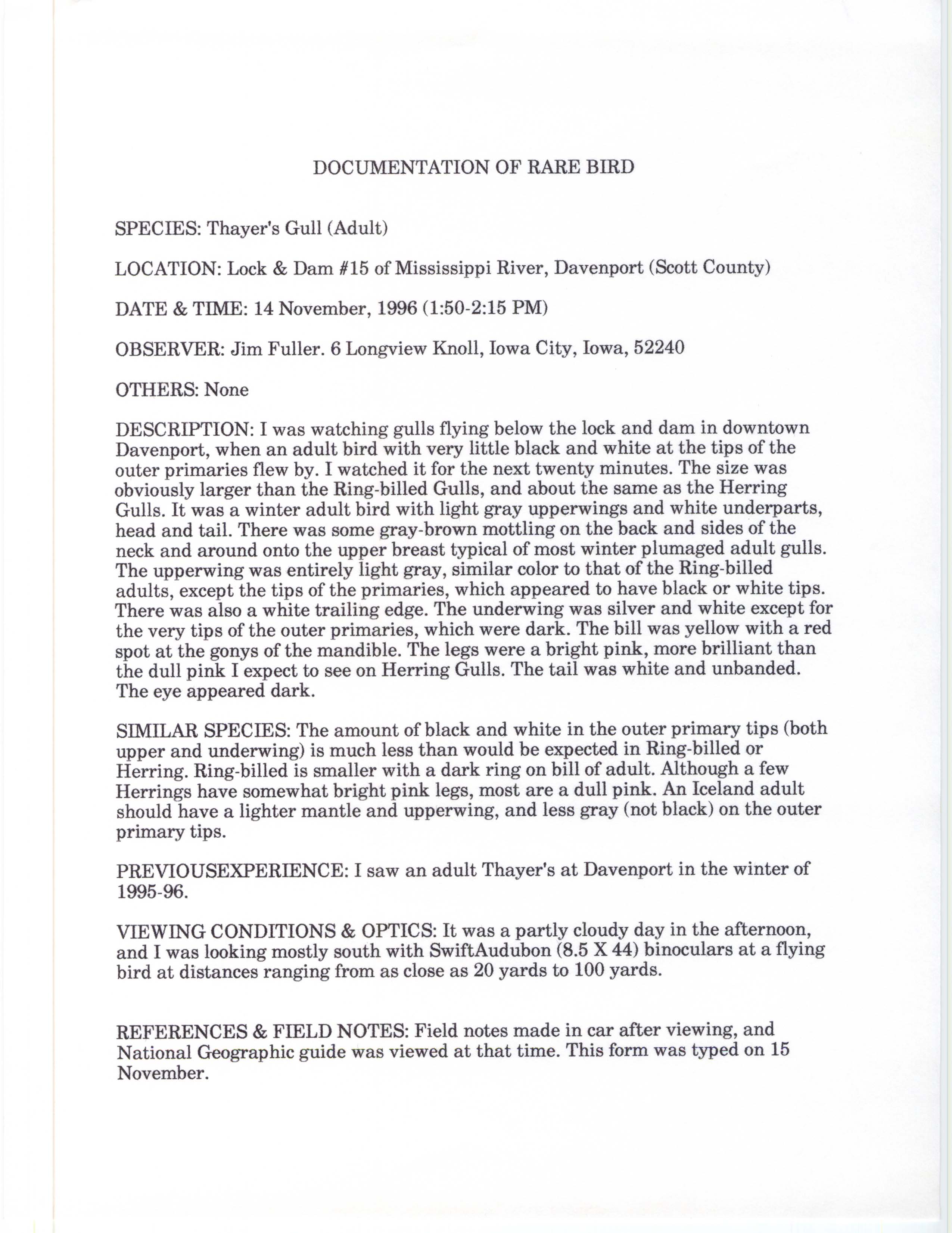 Rare bird documentation form for Thayer's Gull at Lock and Dam 15 in Davenport, 1996