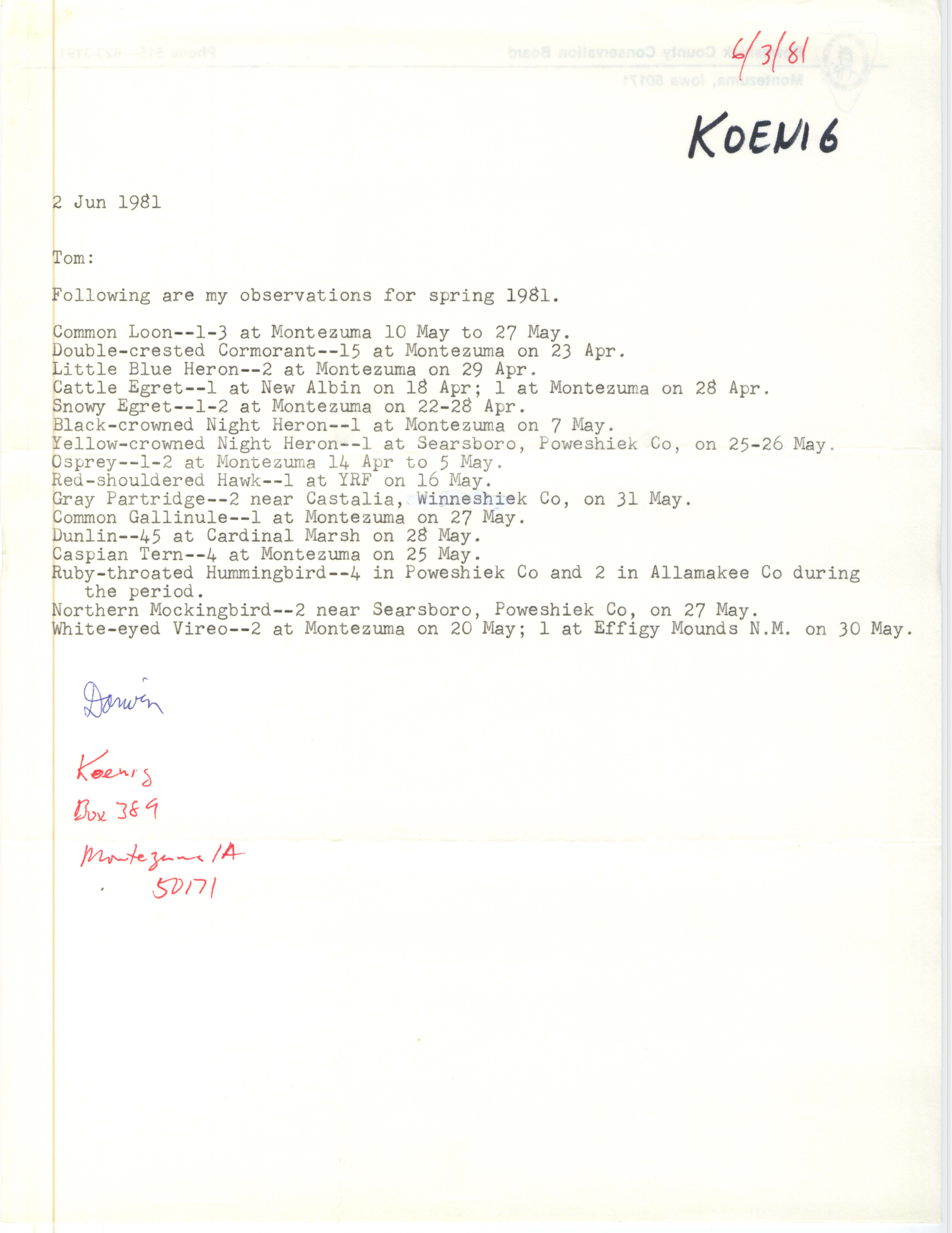 Darwin Koenig letter to Thomas Kent regarding observations for spring, June 2, 1981