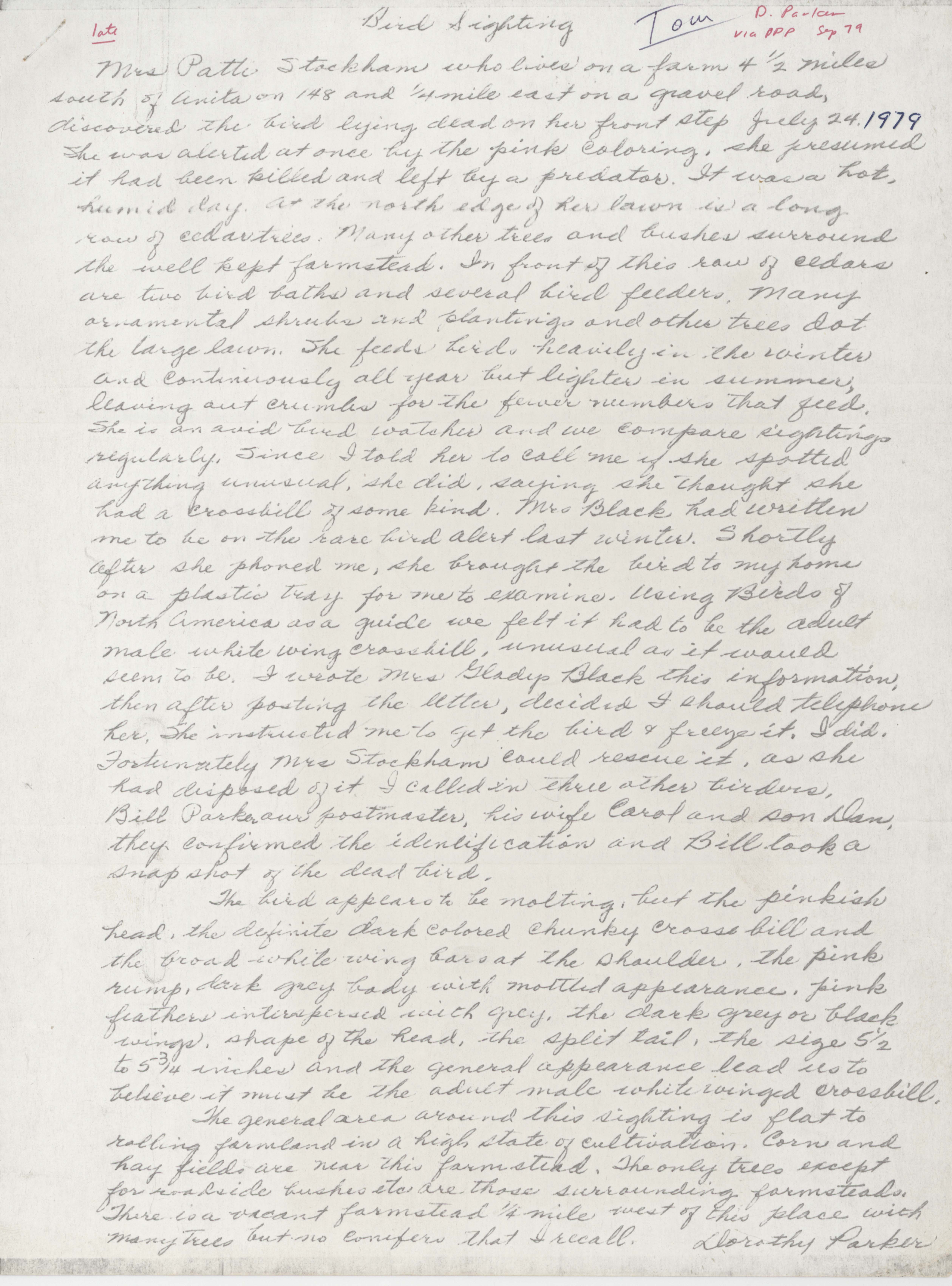 Dorothy Parker's letter regarding bird sighting, July 24, 1979
