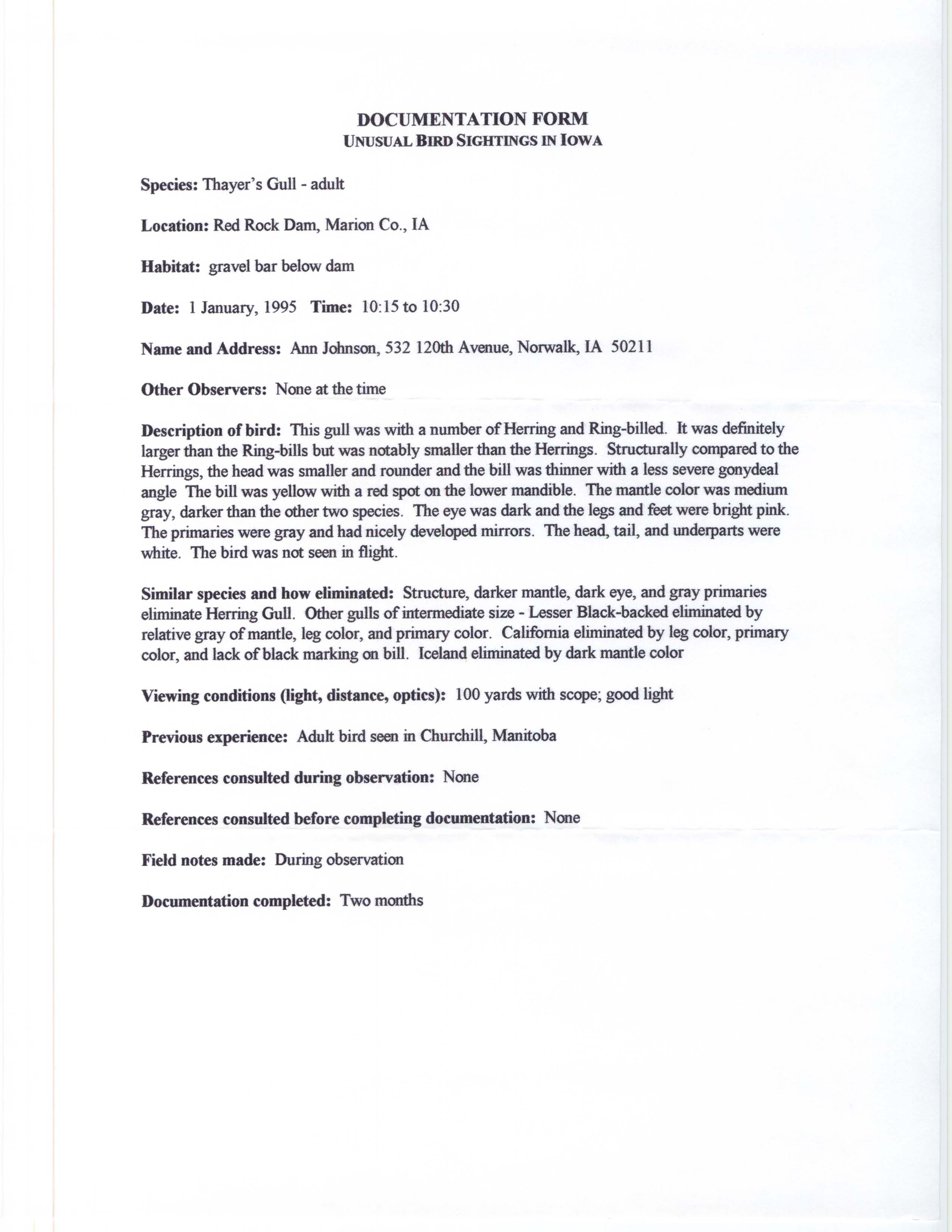 Rare bird documentation form for Thayer's Gull at Red Rock Dam, 1995