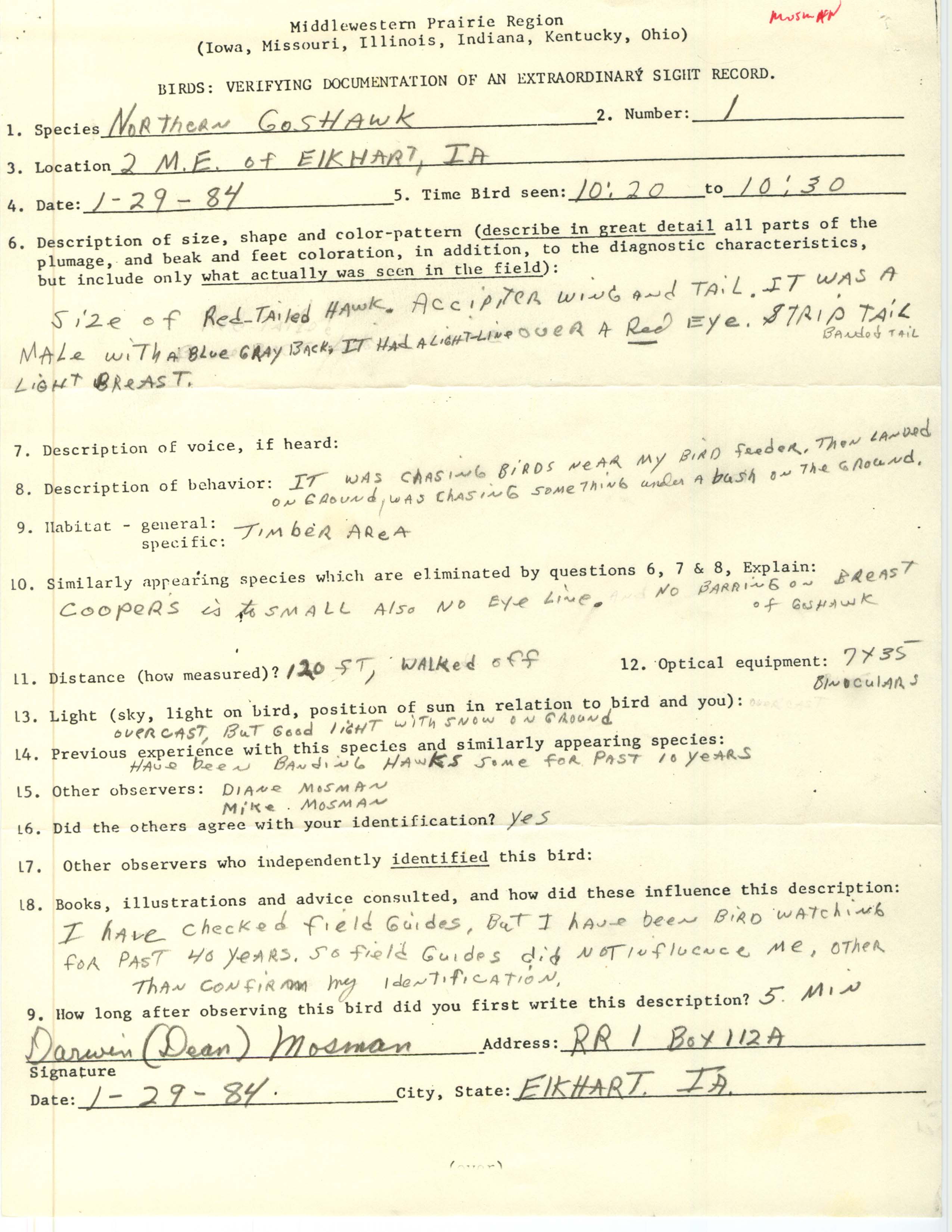 Rare bird documentation form for Northern Goshawk at Elkhart, 1984