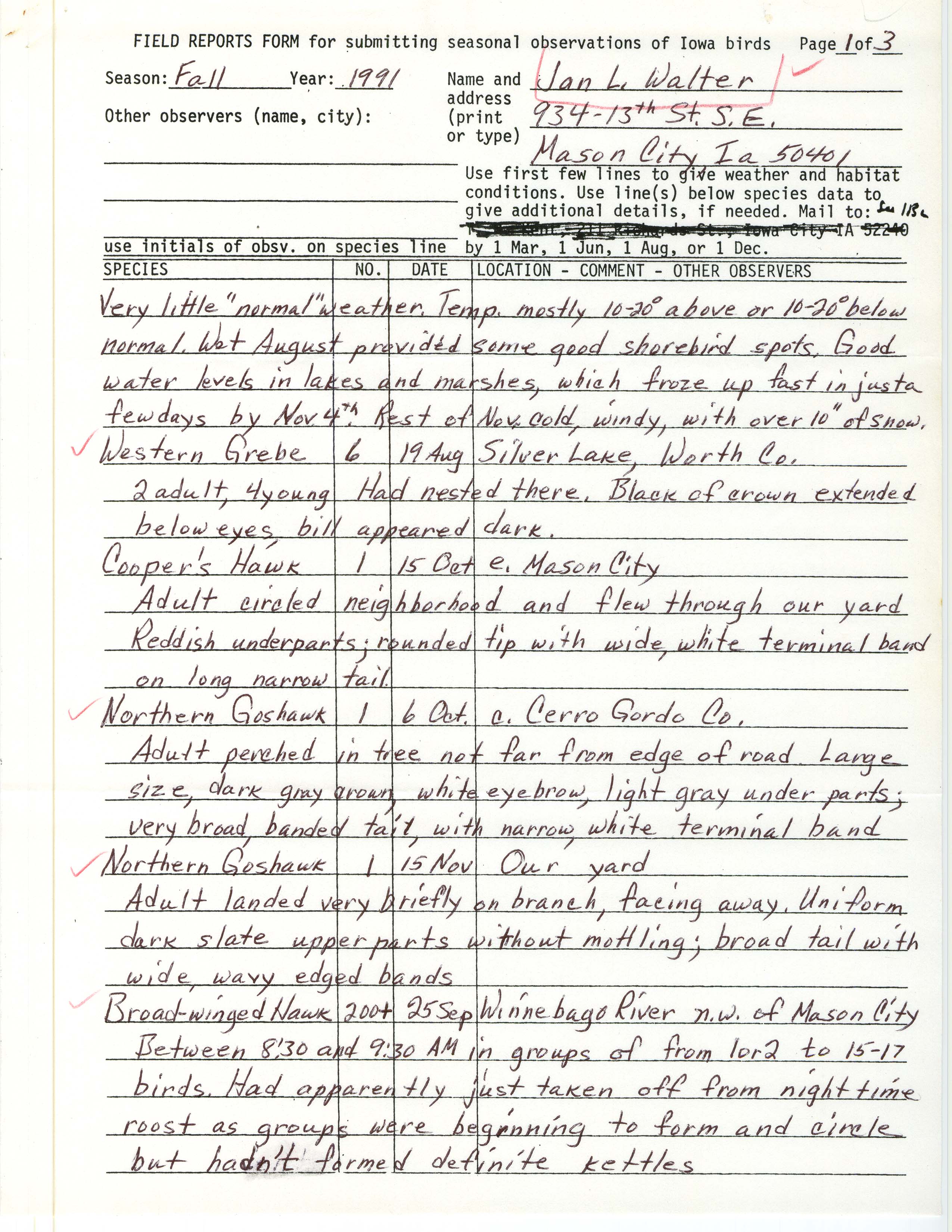 Field reports form for submitting seasonal observations of Iowa birds, Jan L. Walter, fall 1991