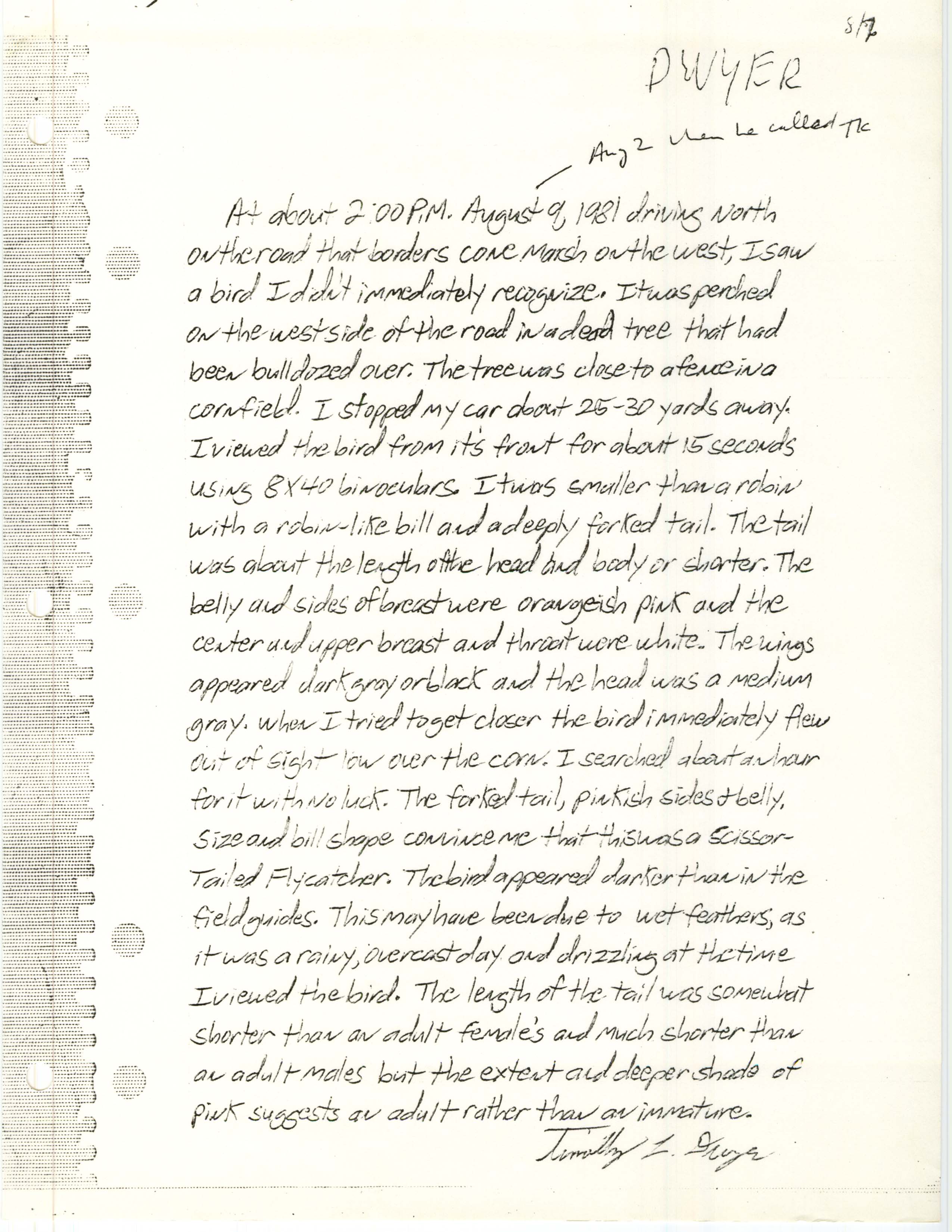 Field notes for Scissor-tailed Flycatcher at Cone Marsh, August 1981