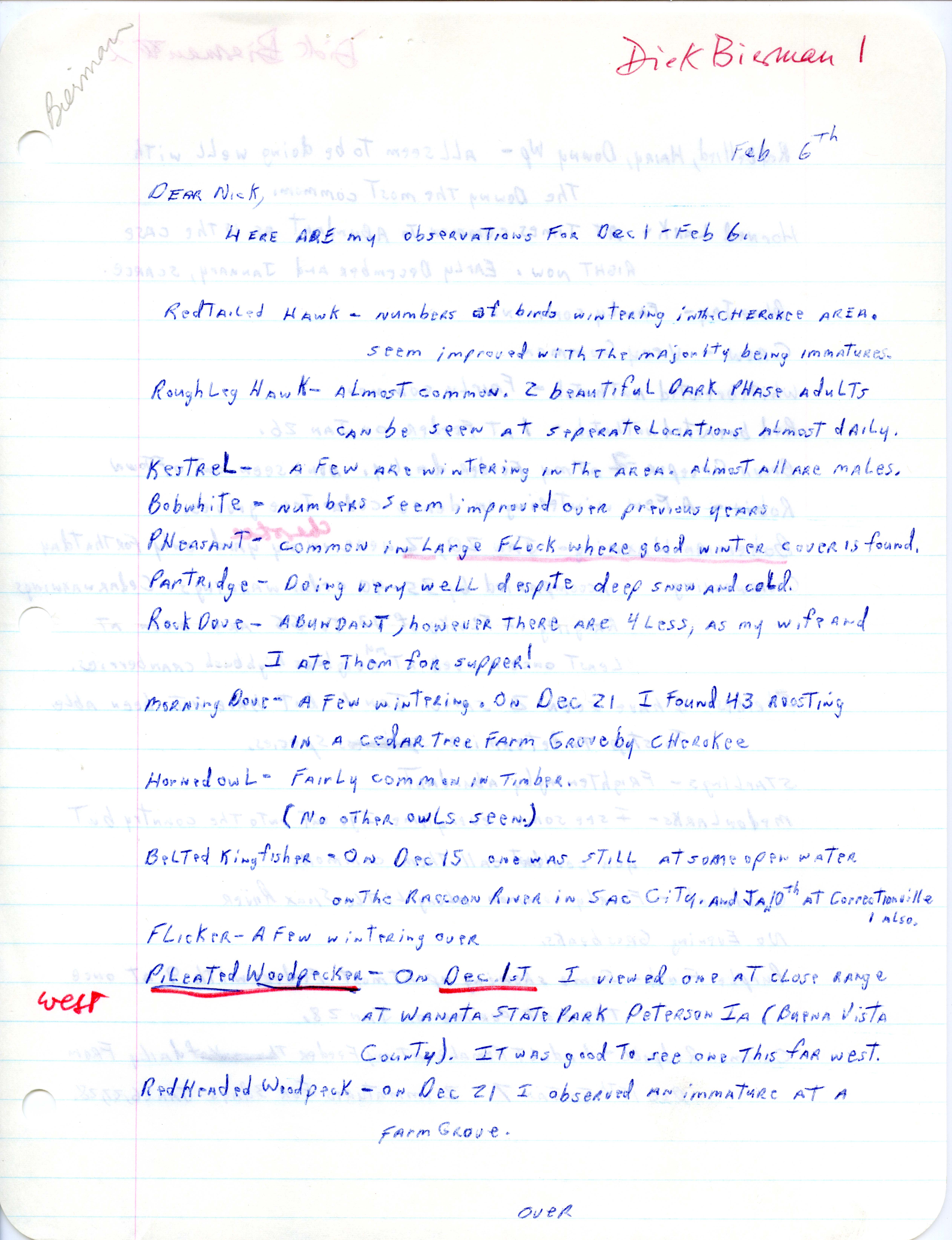 Dick Bierman letter to Nicholas S. Halmi regarding winter bird sightings, February 6, 1979