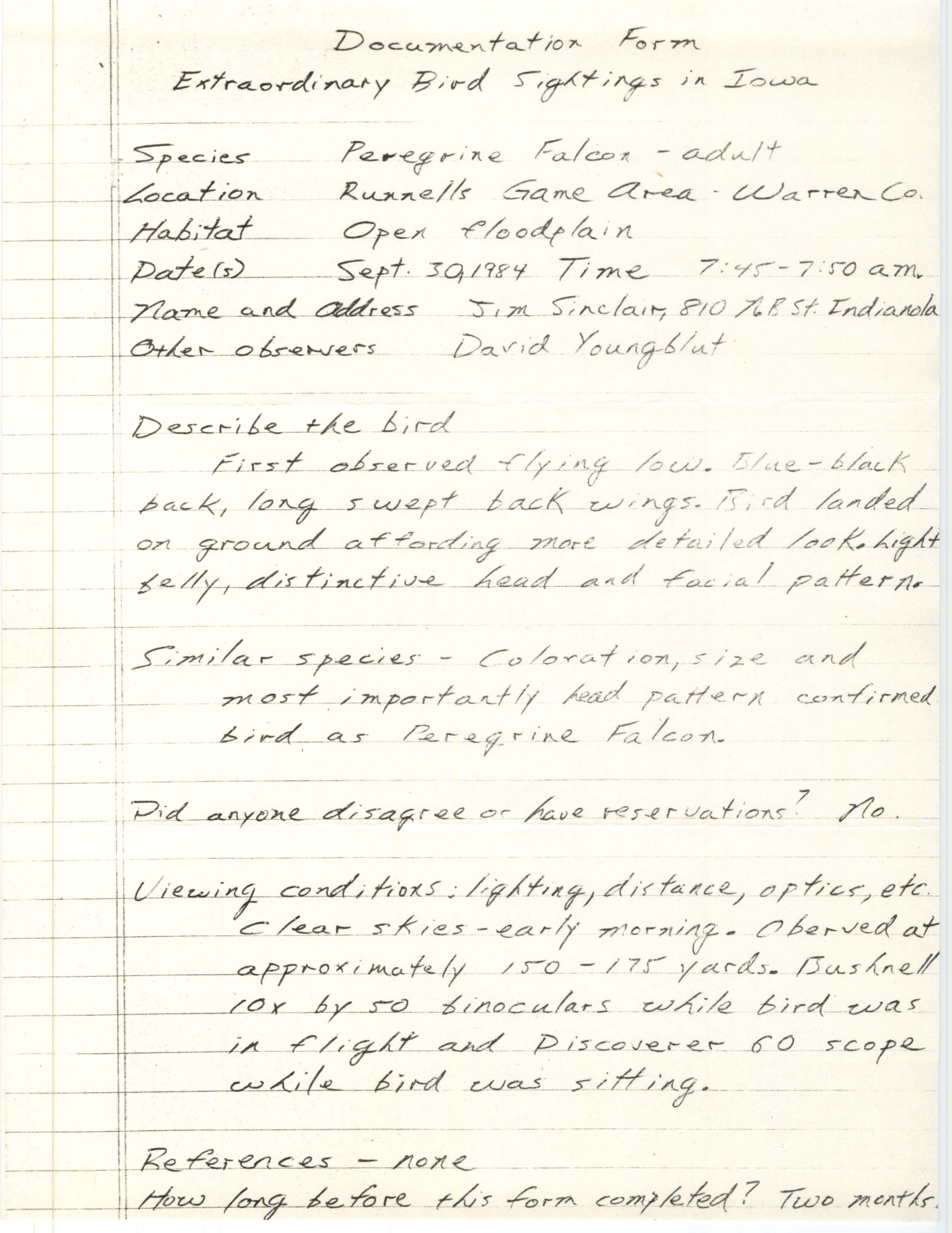 Rare bird documentation form for Peregrine Falcon at Runnells Game Area, 1984