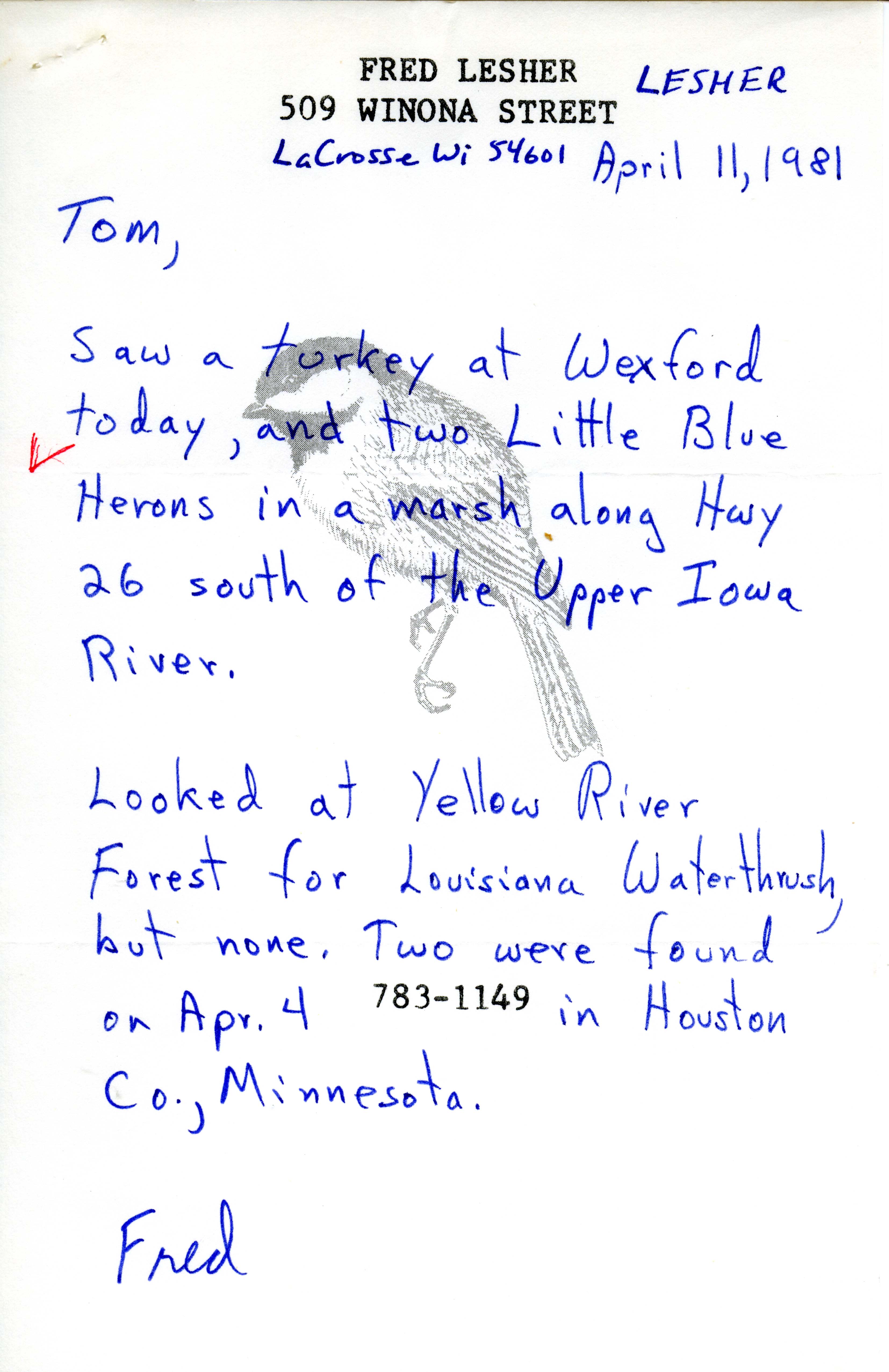 Fred Lesher letter to Thomas Kent regarding Little Blue Heron sighting, April 11, 1981