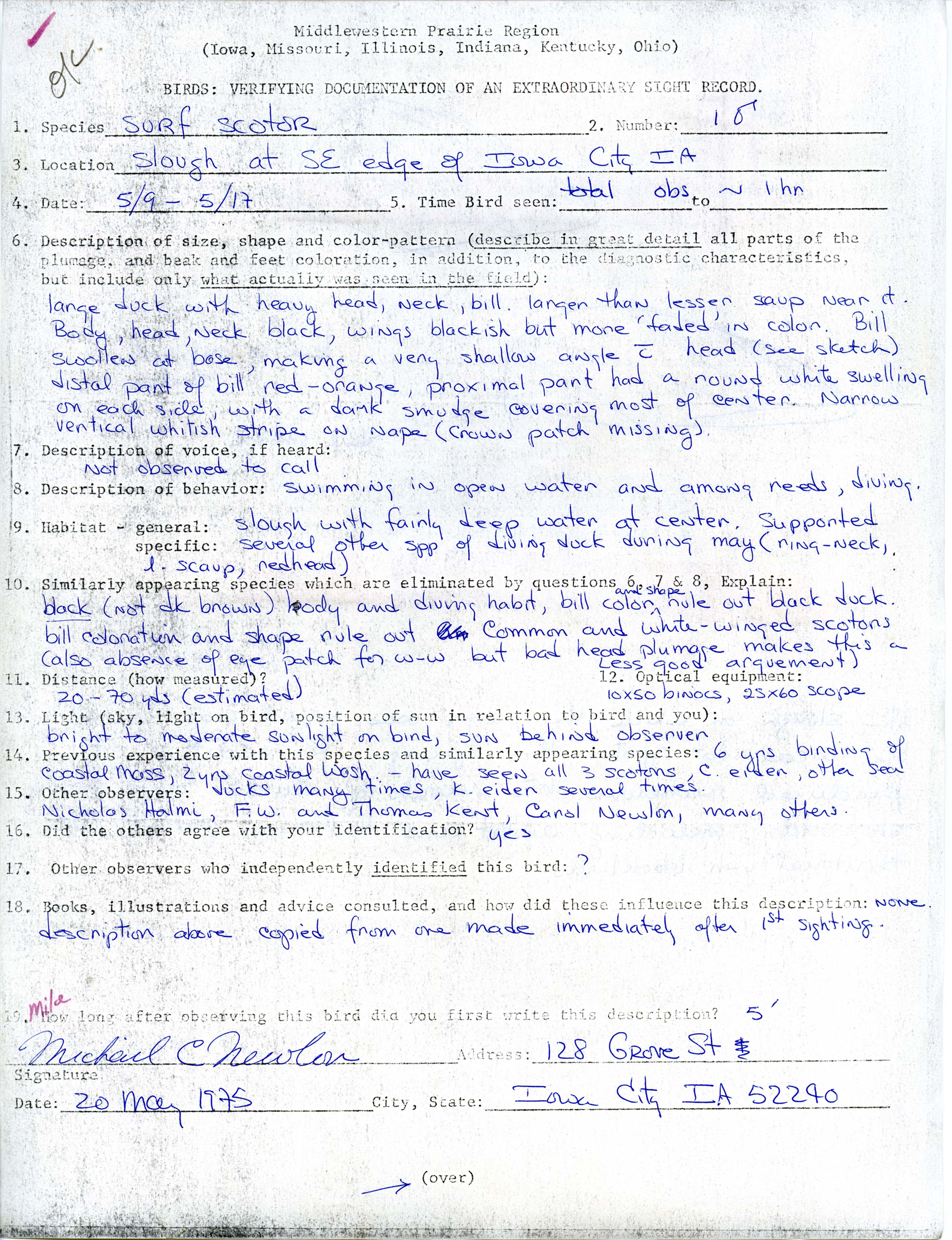 Rare bird documentation form for Surf Scoter at Iowa City in 1975