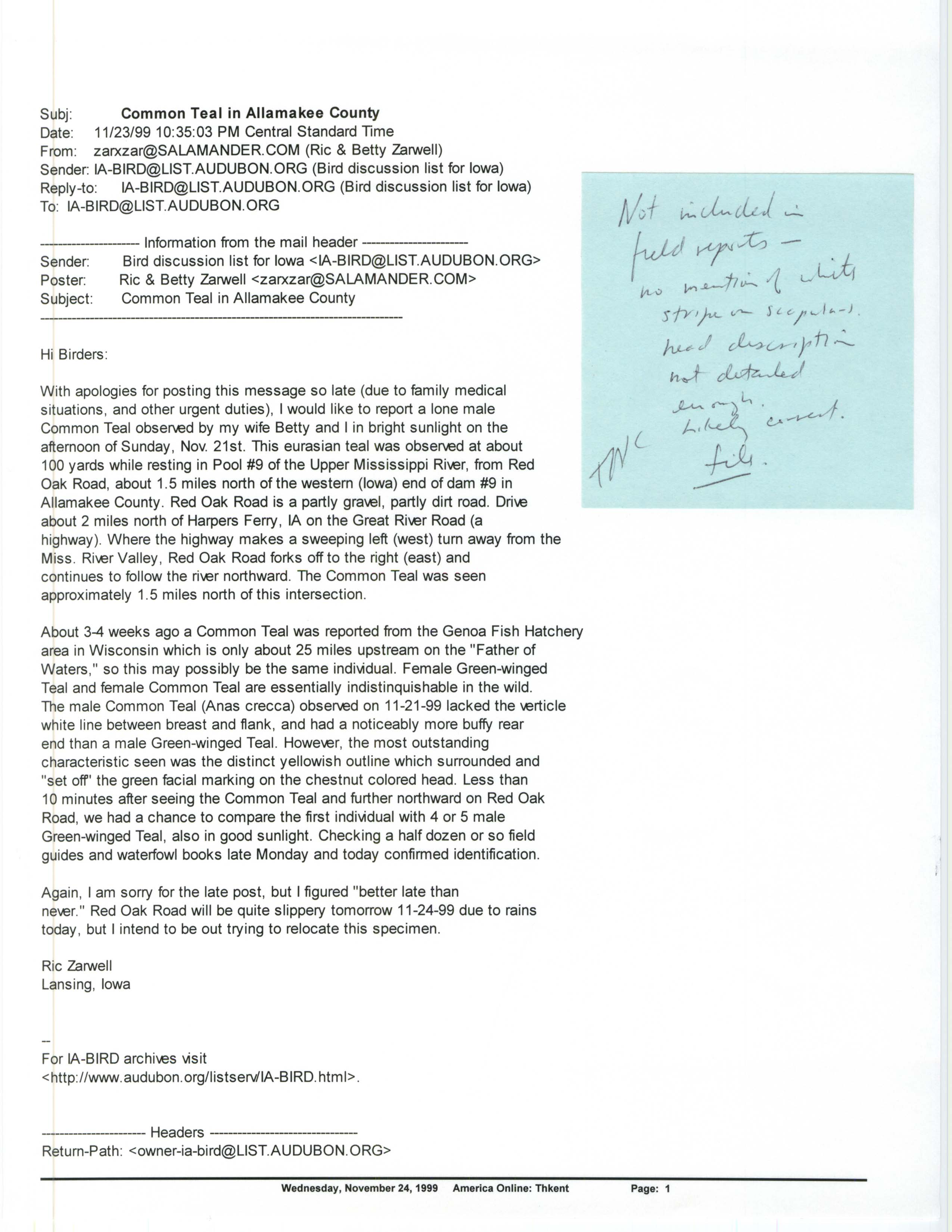 Email from Ric Zarwell to IA-BIRD list regarding a Blue-winged Teal, November 23, 1999