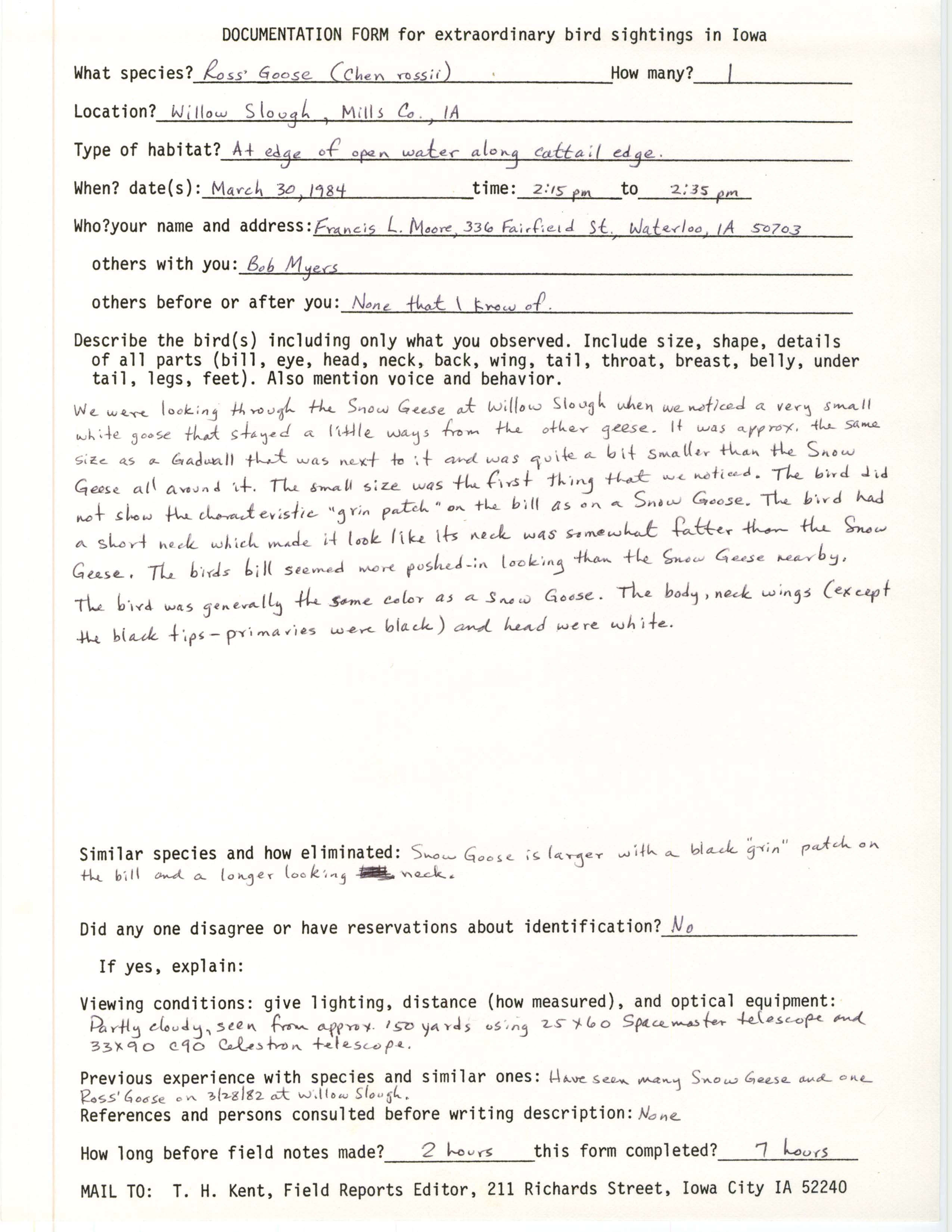 Rare bird documentation form for Ross' Goose at Willow Slough, 1984