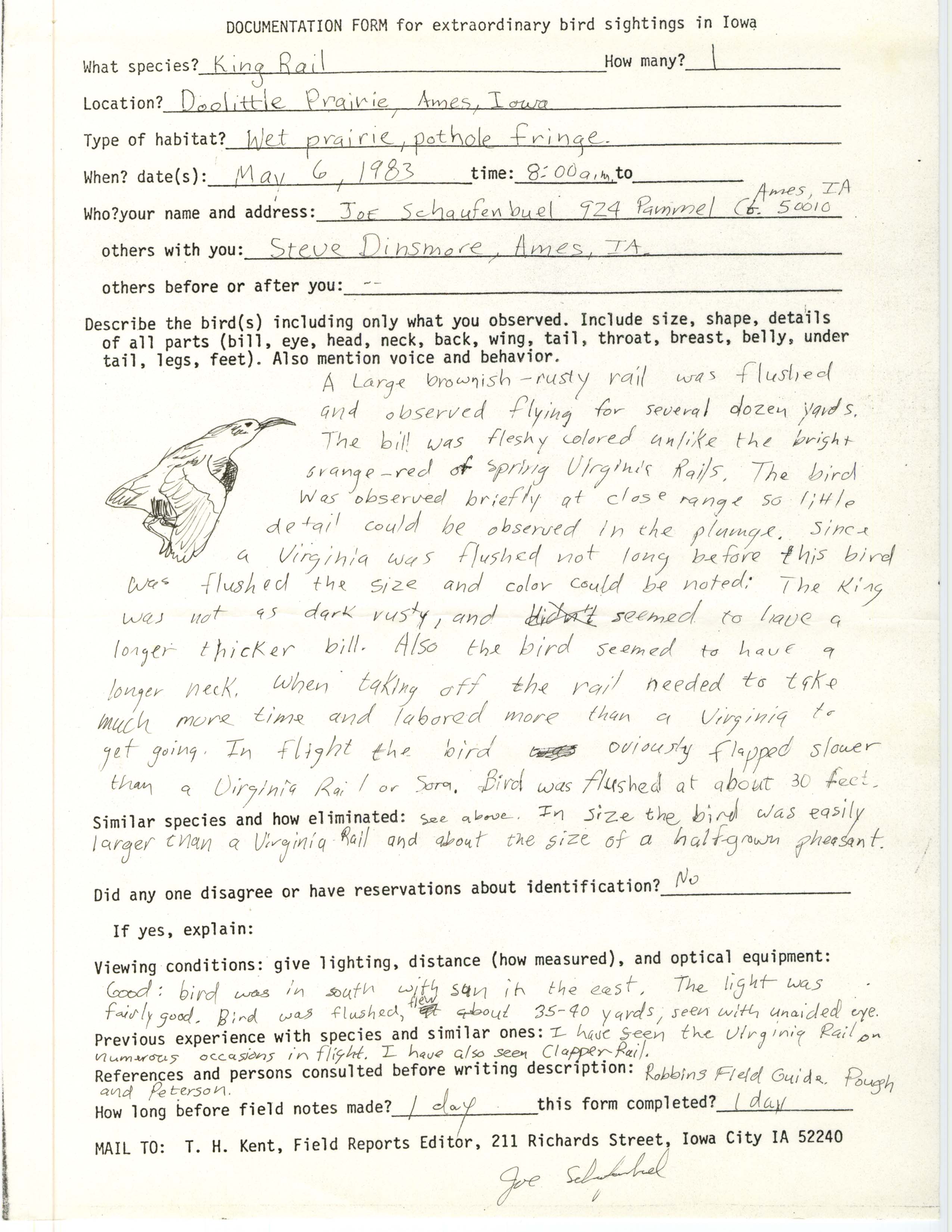Rare bird documentation form for King Rail at Doolittle Prairie, 1983