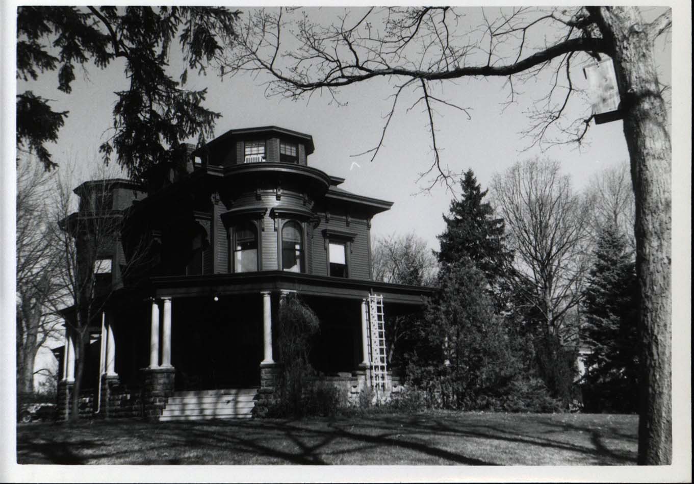 Photograph of Frederic Leopold's house with a Wood Duck house in a tree