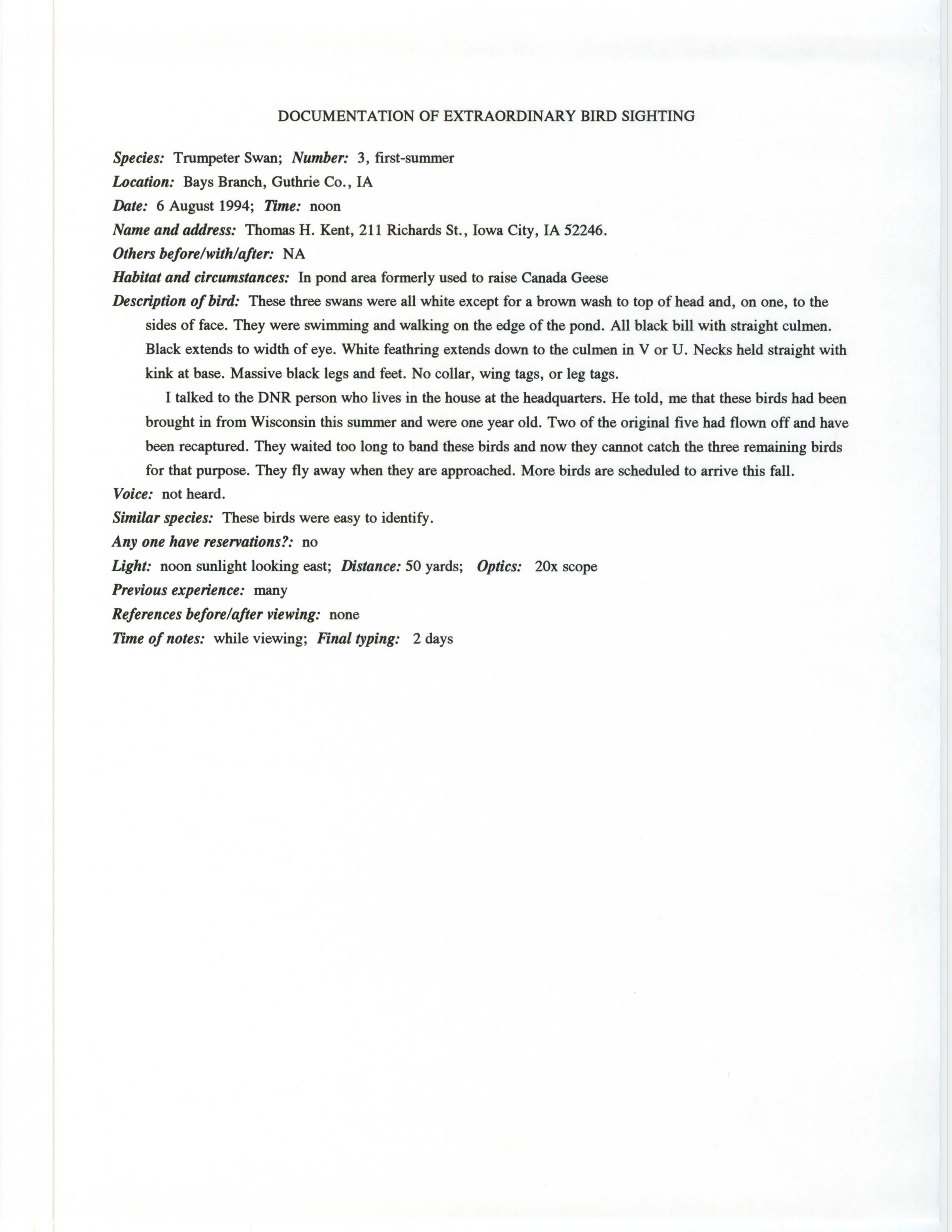 Rare bird documentation form for Trumpeter Swan at Bays Branch, 1994