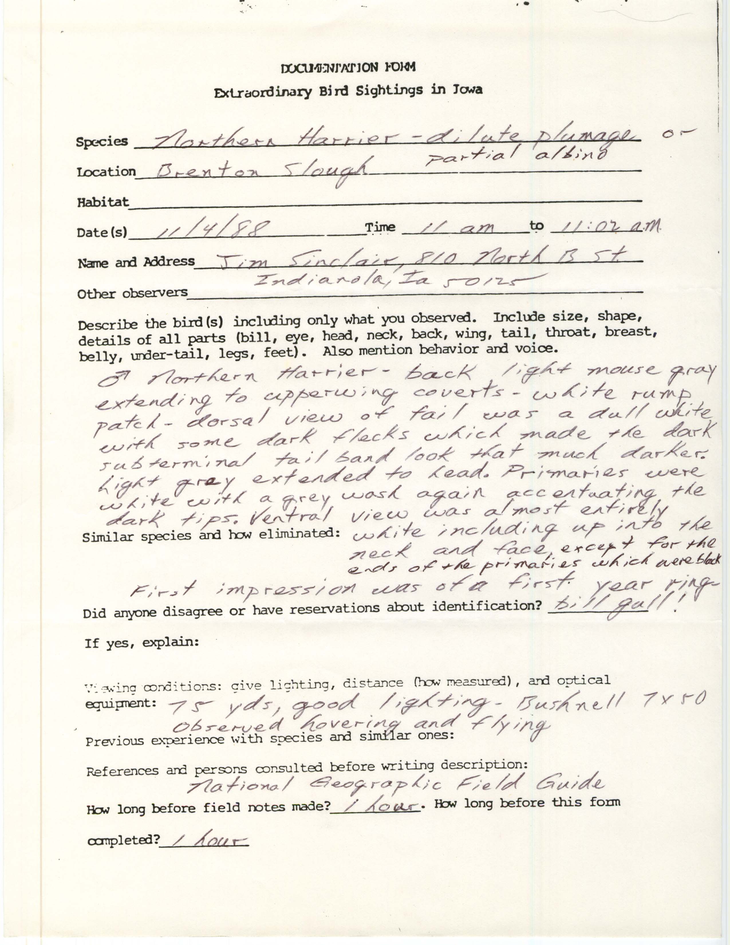 Rare bird documentation form for Northern Harrier at Brenton Slough, 1988