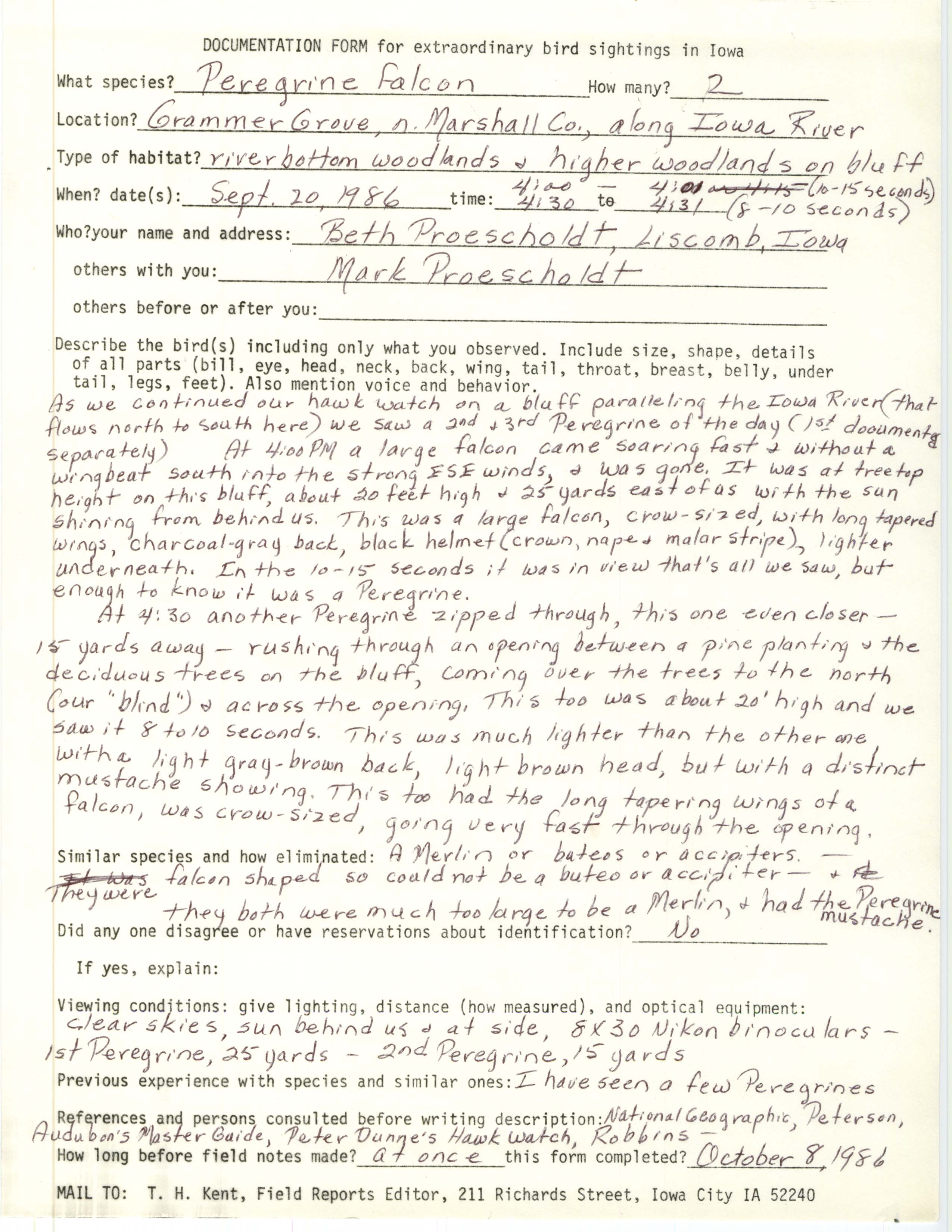 Rare bird documentation form for Peregrine Falcon at Grammer Grove in 1986